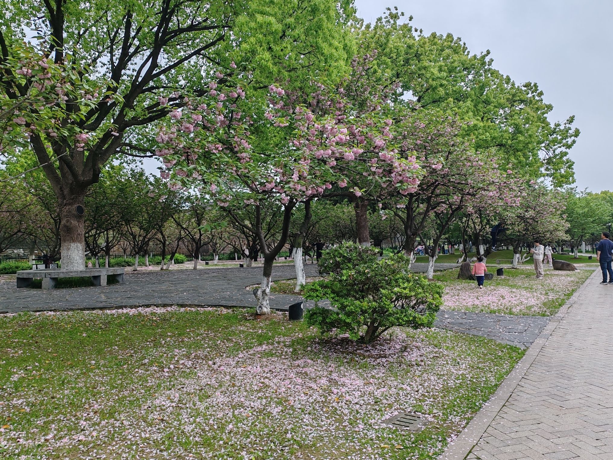 百花洲公园(百花洲)旅行图片 2