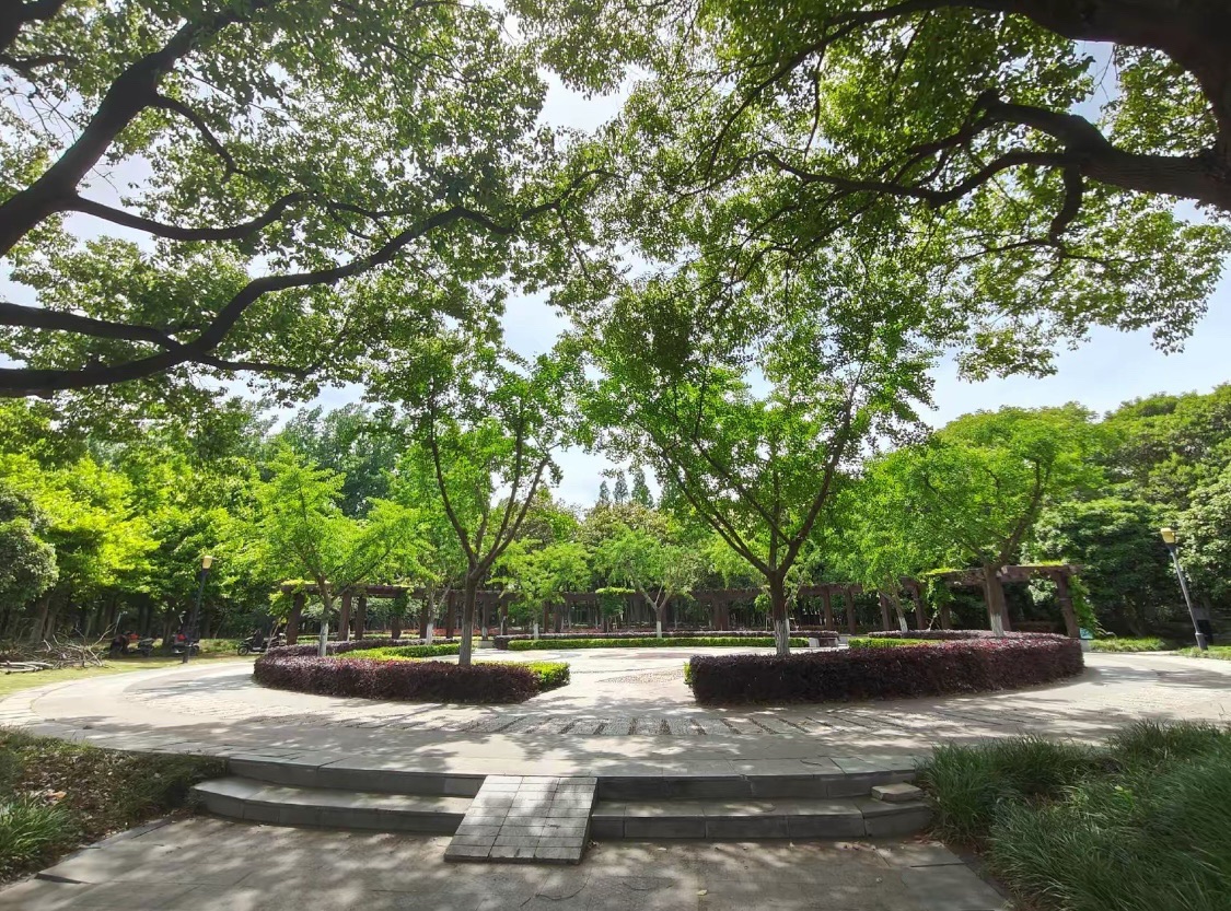 长江公园旅行图片 3