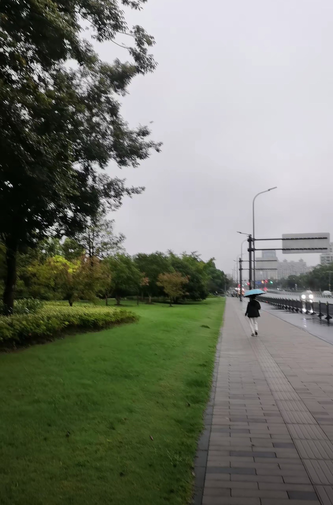长江公园旅行图片 1