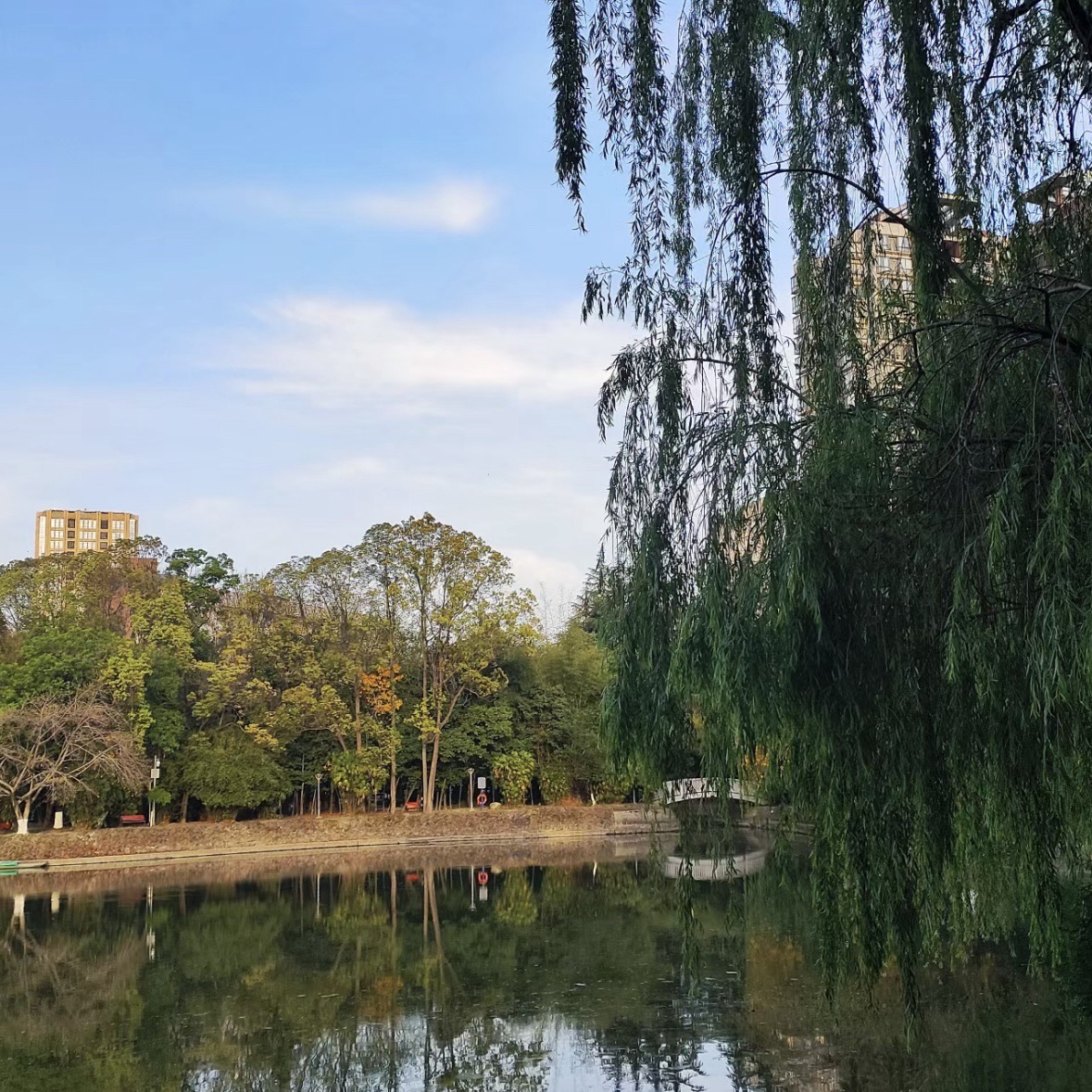 镜湖公园旅行图片 3