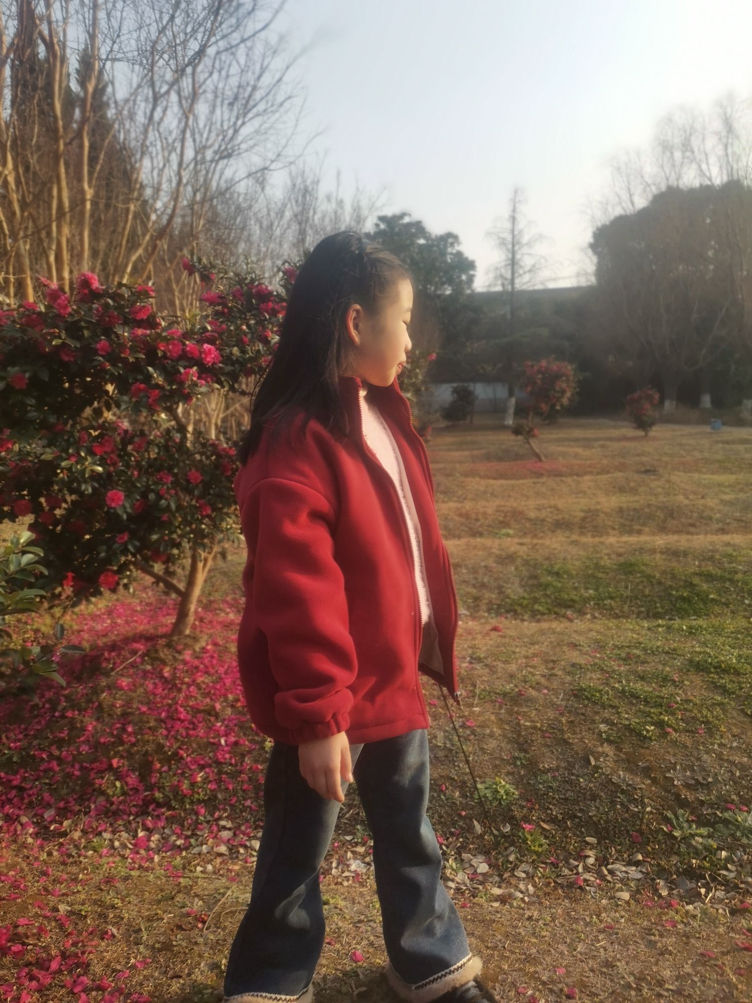 镜湖公园旅行图片 1