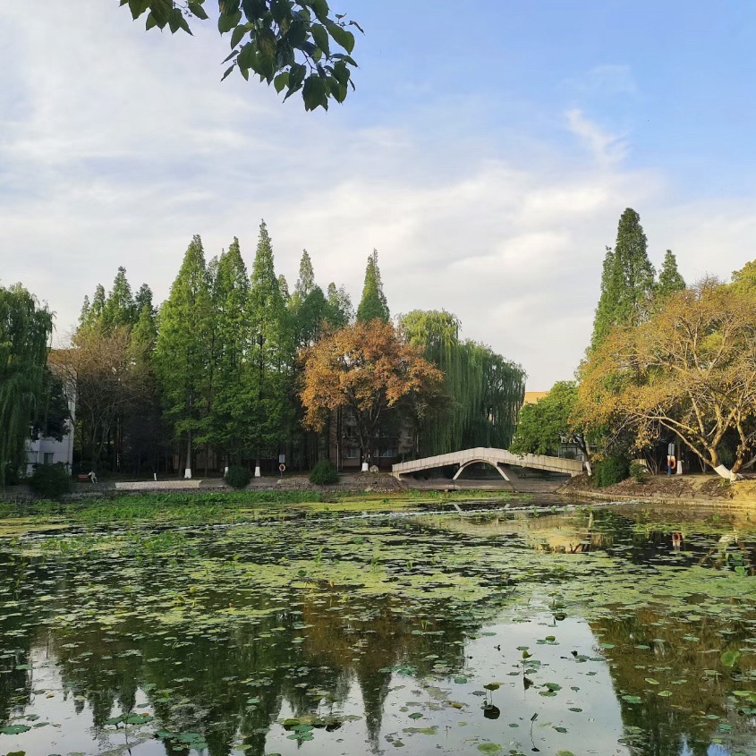 镜湖公园旅行图片 1