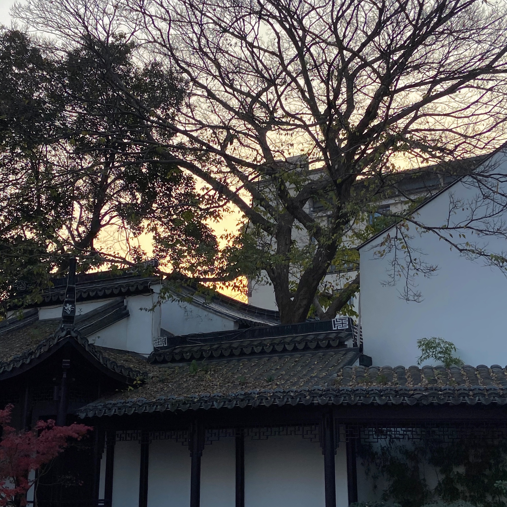 况公祠旅行图片 2