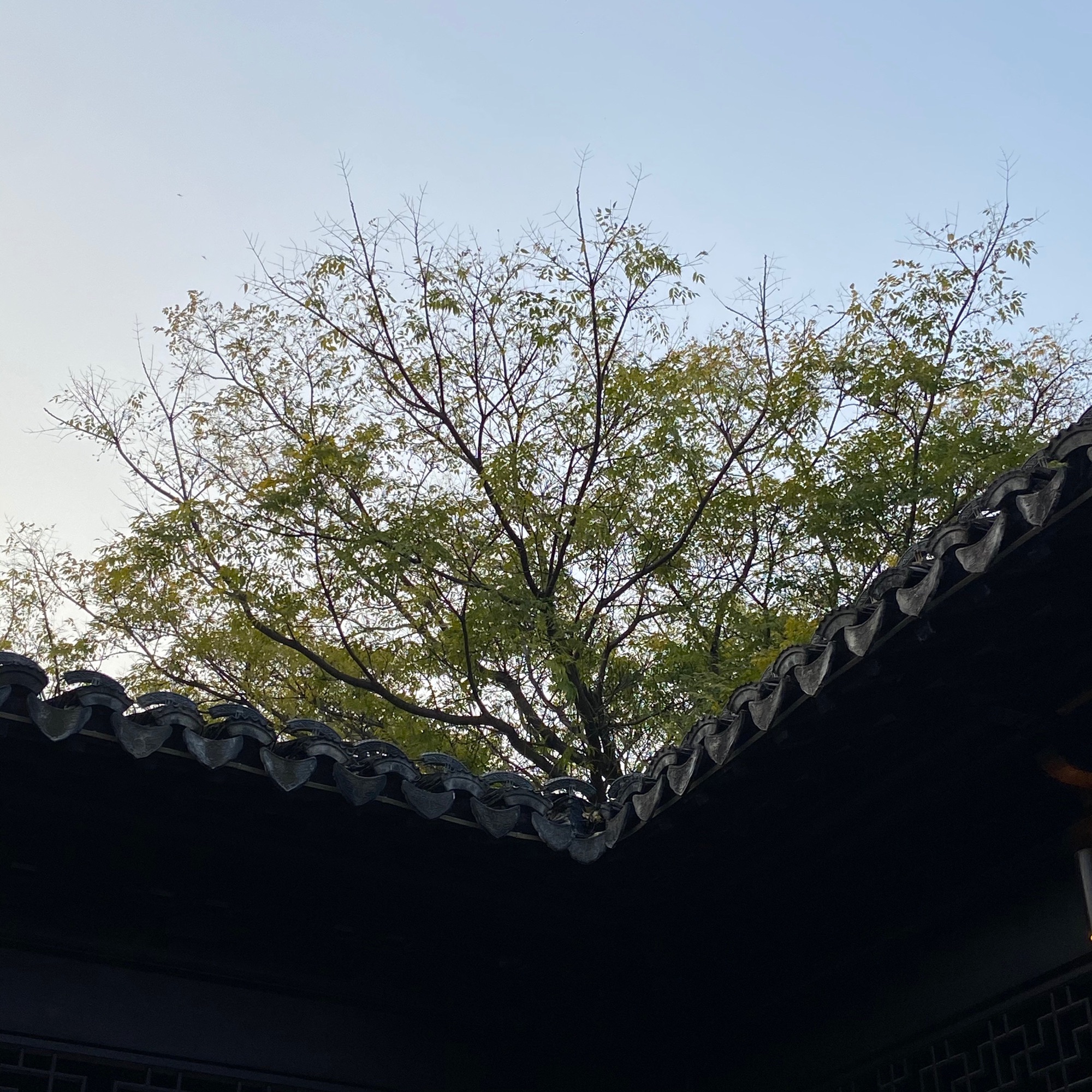 况公祠旅行图片 1