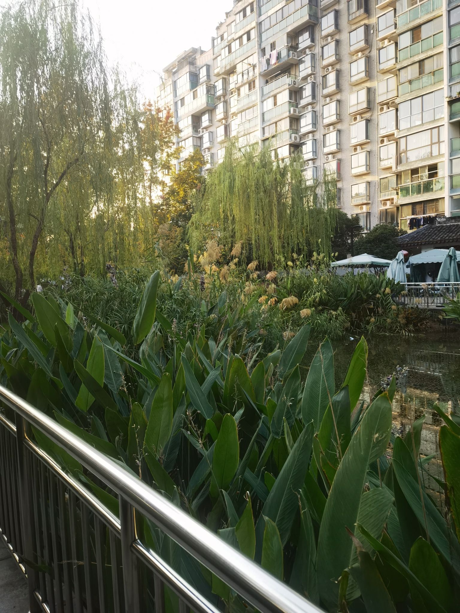 三香公园旅行图片 3