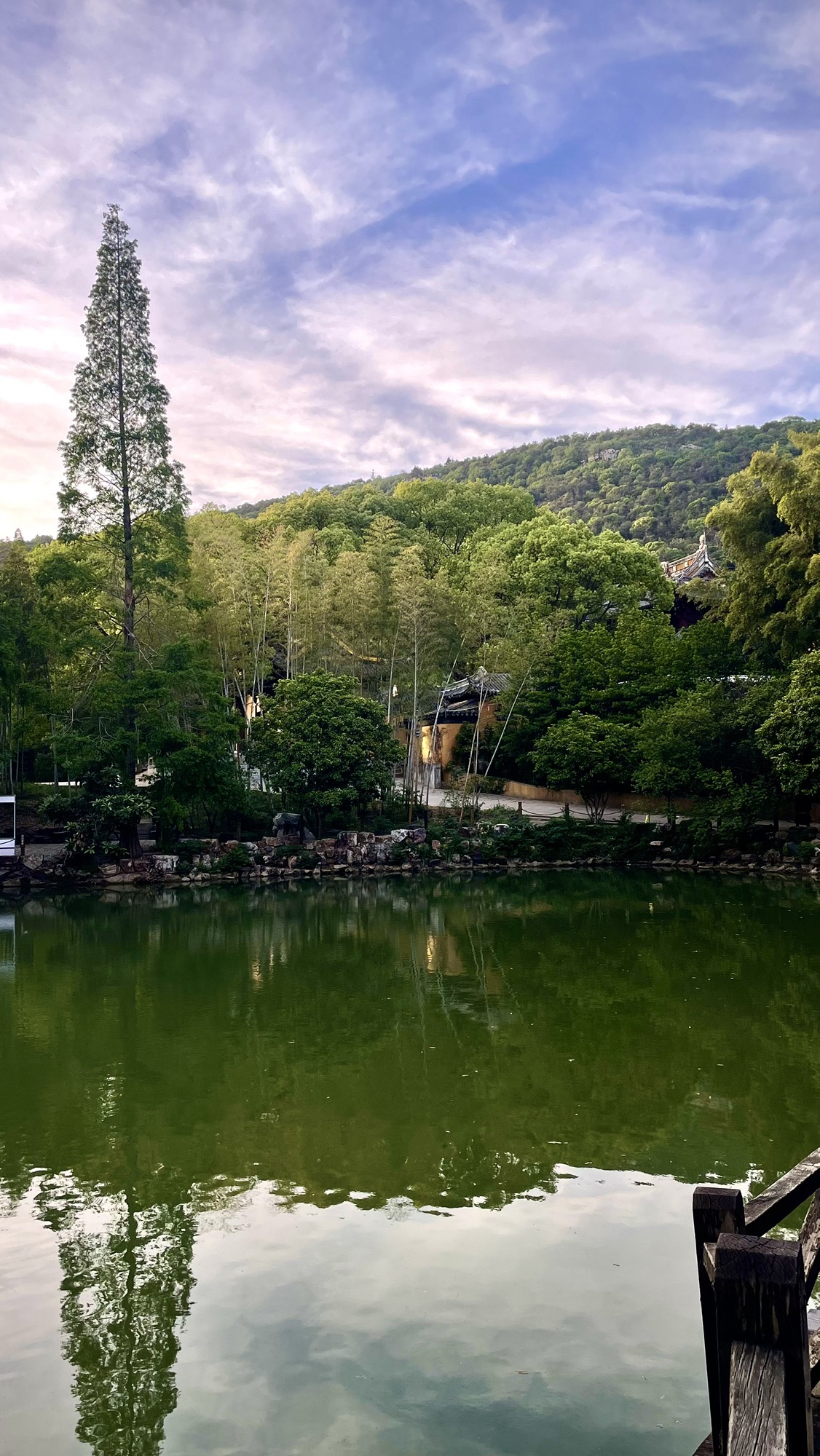 虞山国家森林公园旅行图片 1