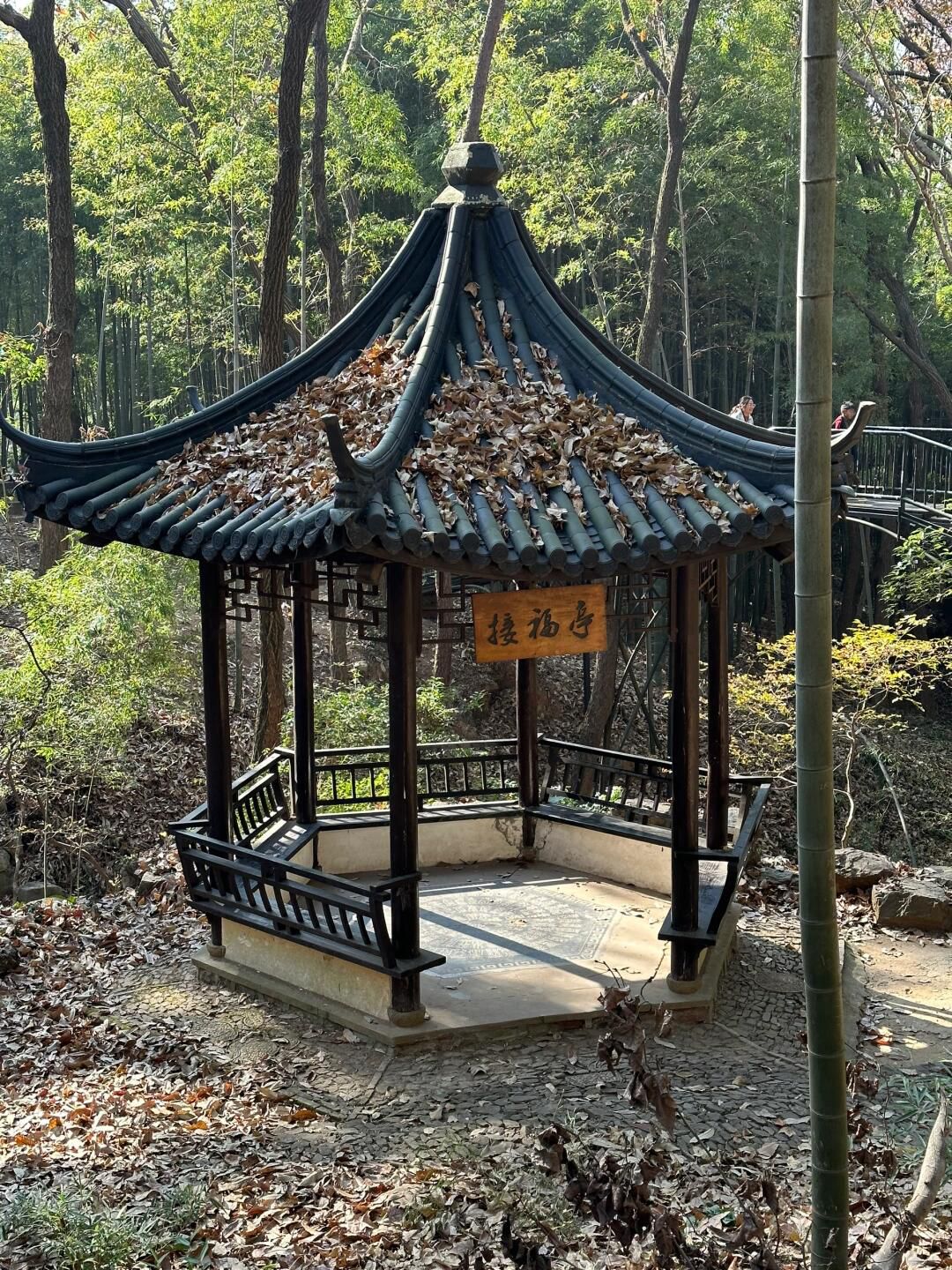 虞山国家森林公园旅行图片 3