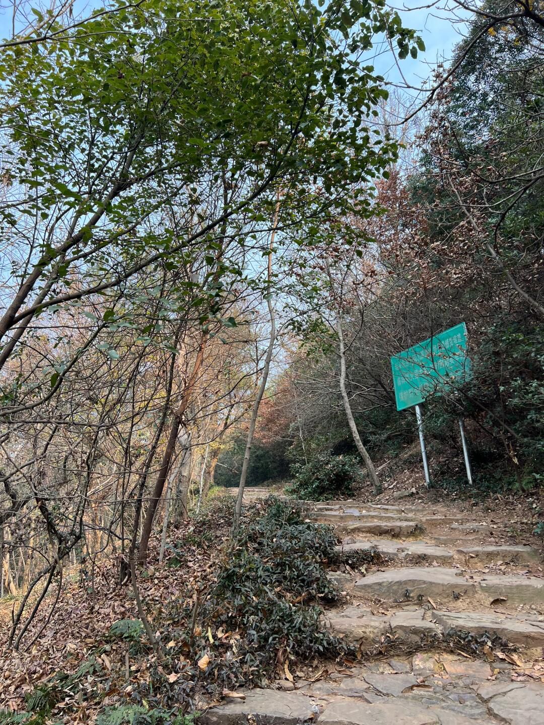 虞山国家森林公园旅行图片 2