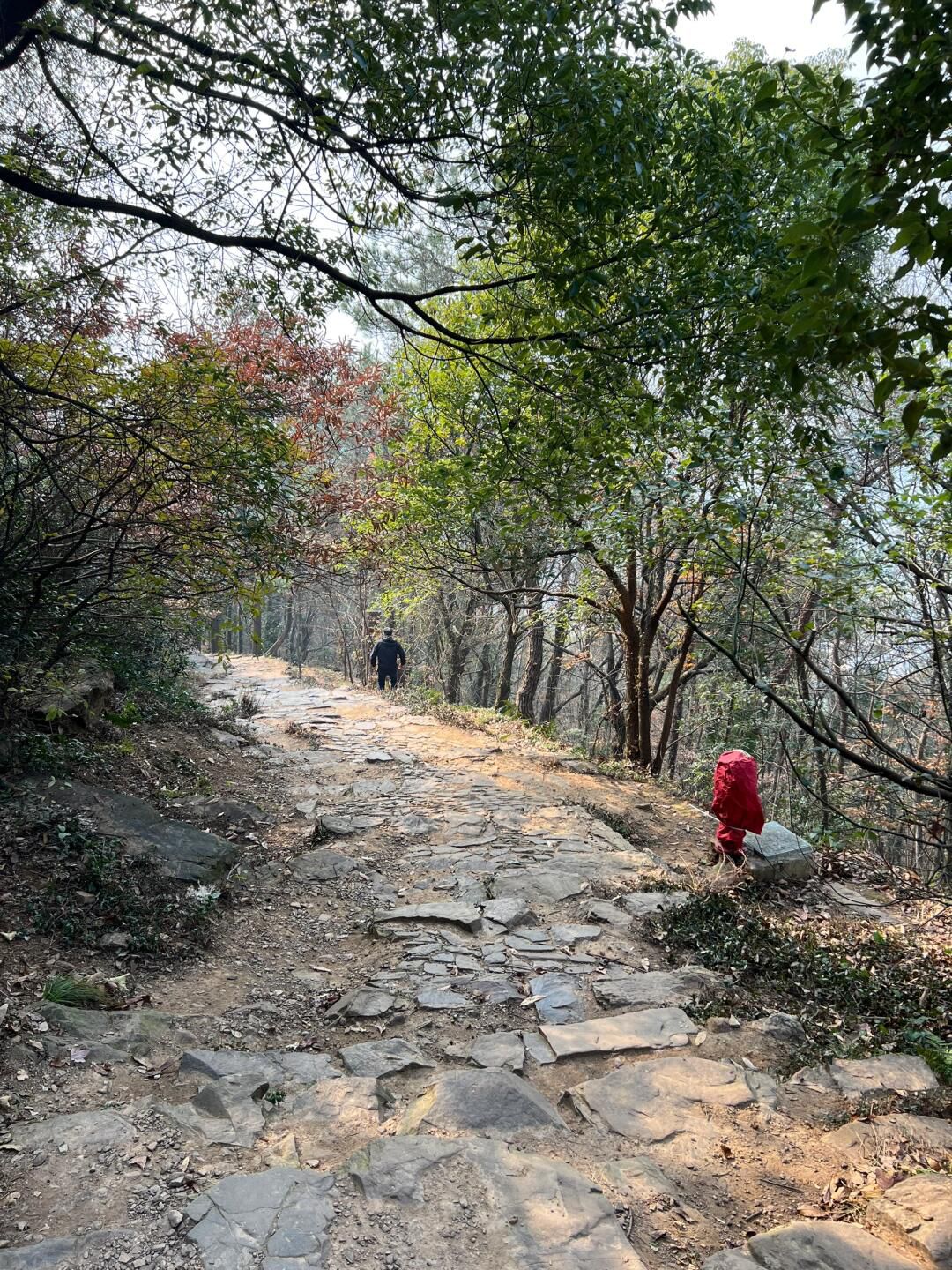 虞山国家森林公园旅行图片 3