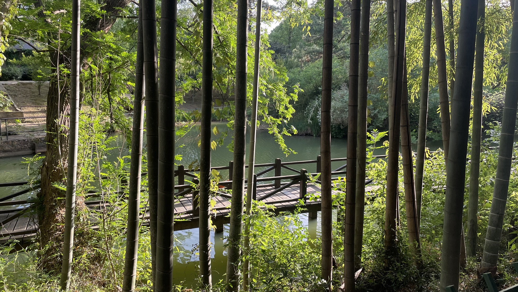 虞山国家森林公园旅行图片 2