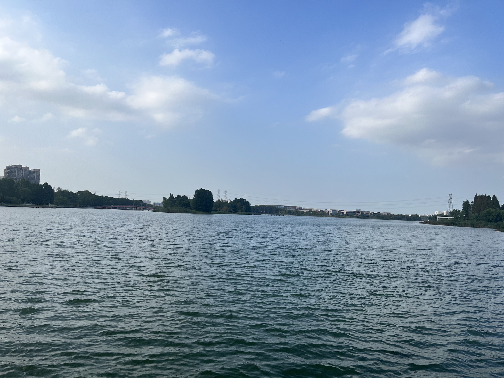 东沙湖生态公园旅行图片 2