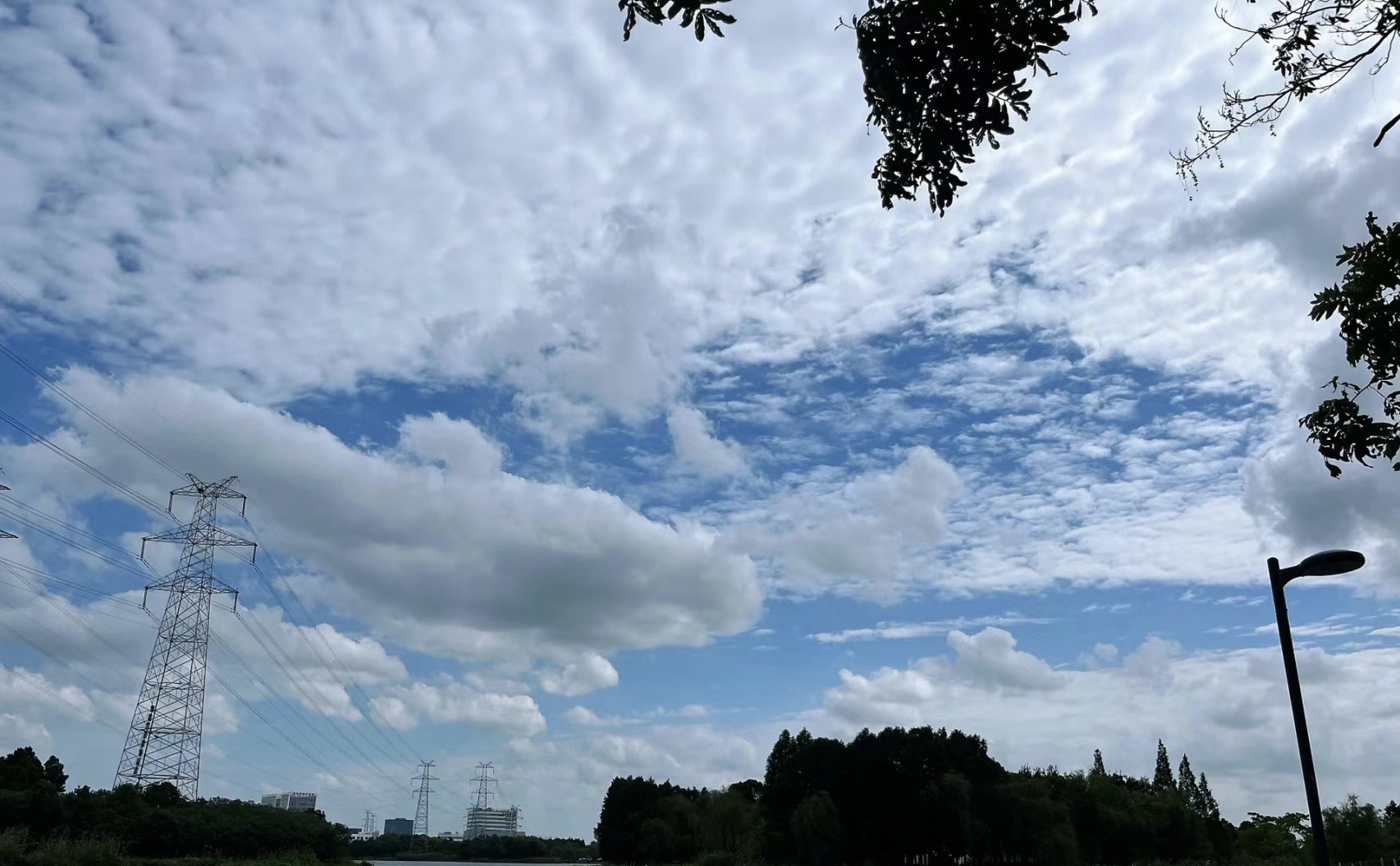东沙湖生态公园旅行图片 1