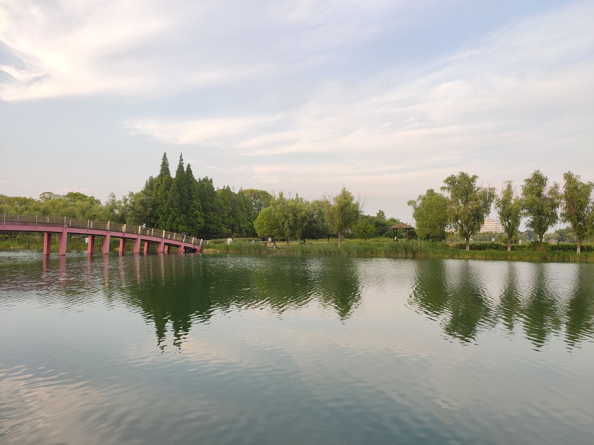 东沙湖生态公园旅行图片 2