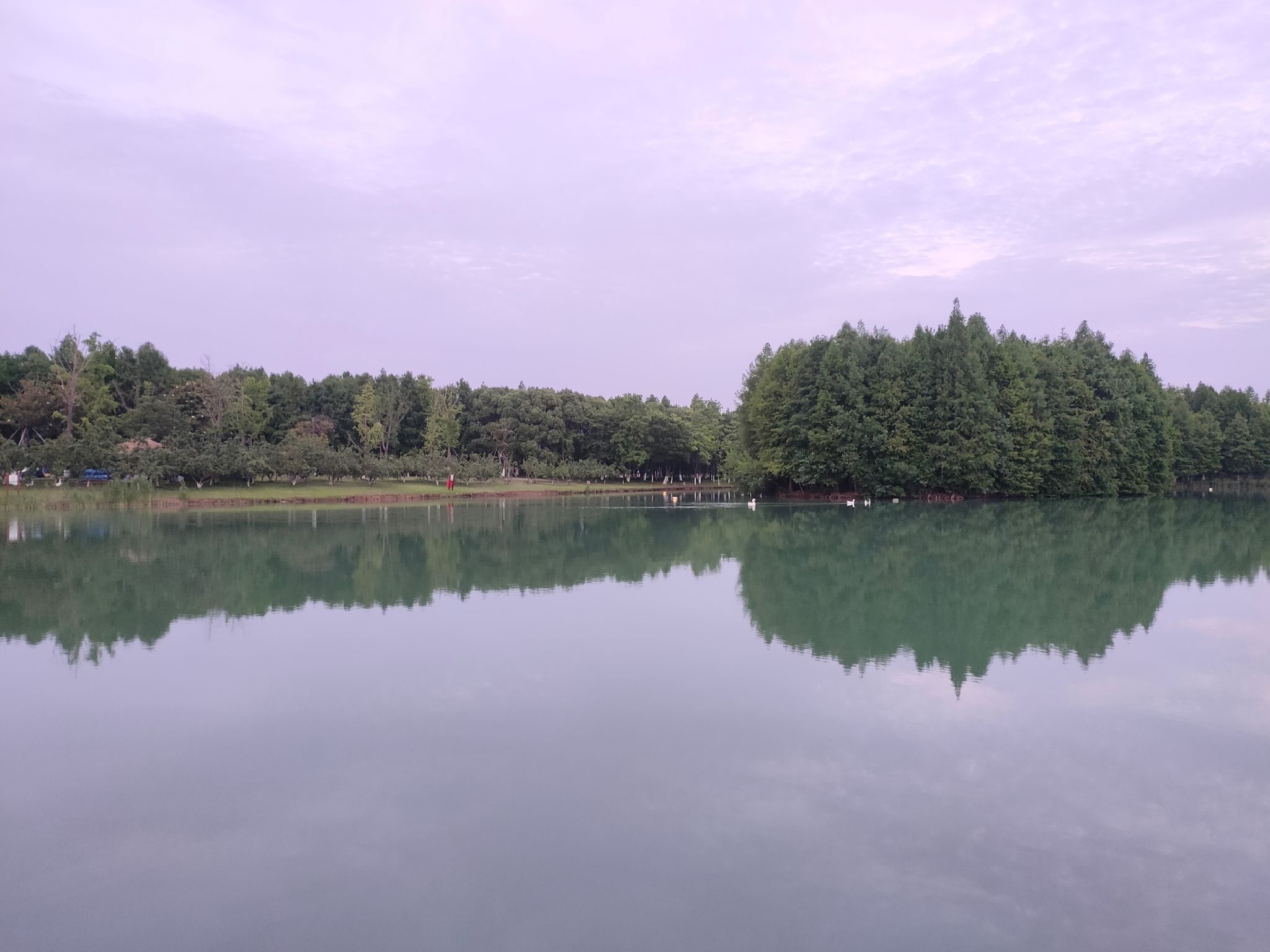 东沙湖生态公园旅行图片 1