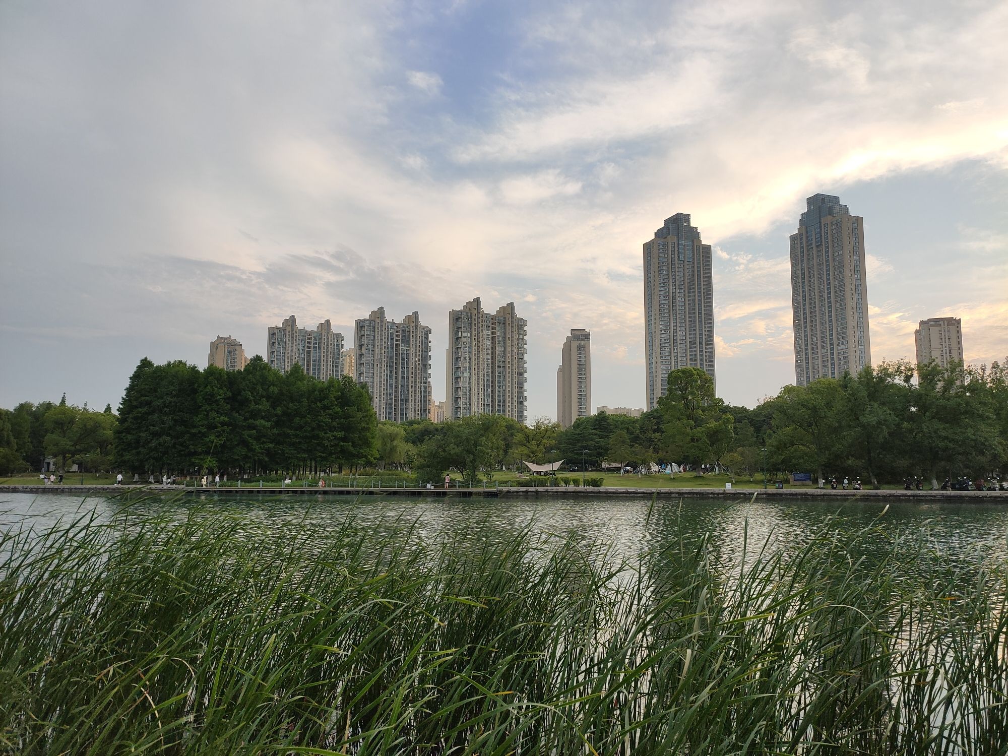 东沙湖生态公园旅行图片 3