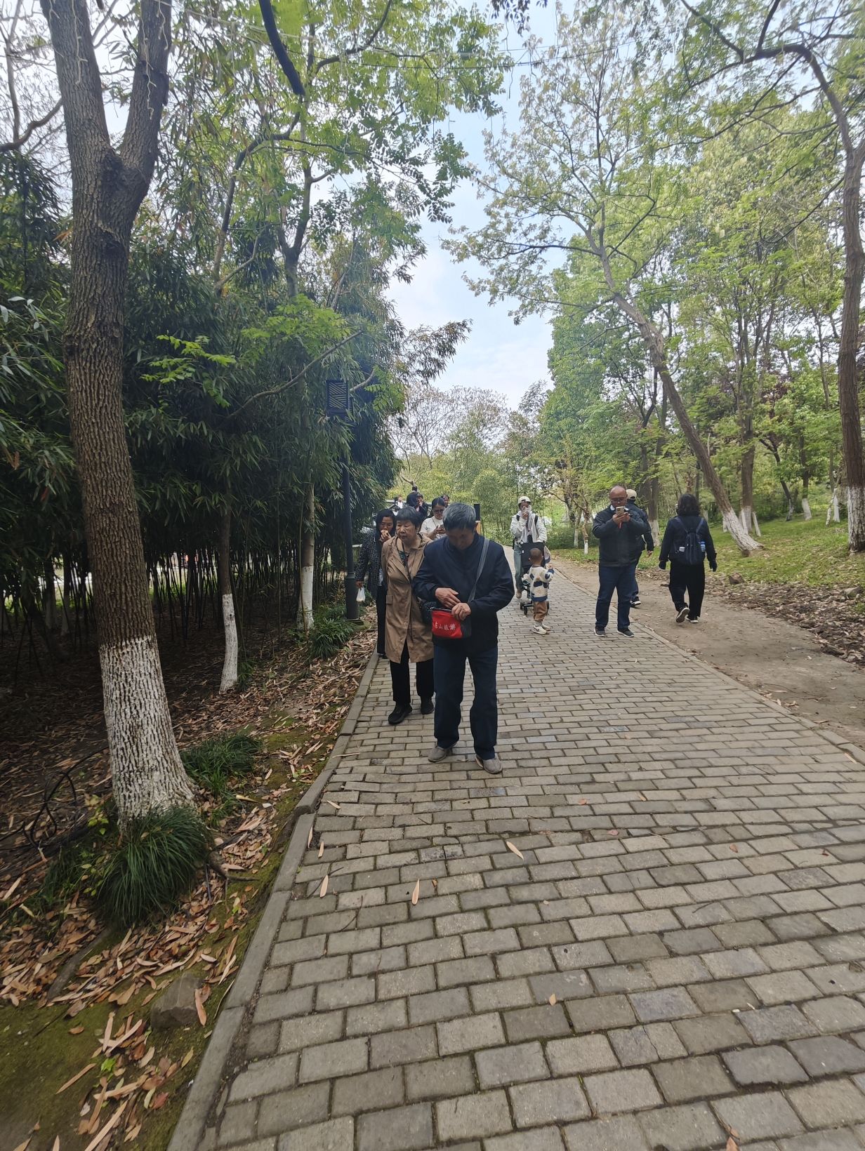 沙家浜风景区旅行图片 2