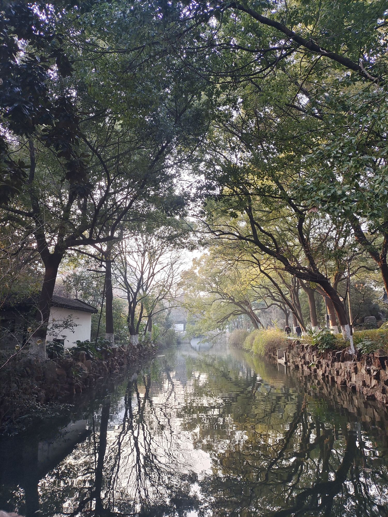 沙洲公园旅行图片 3