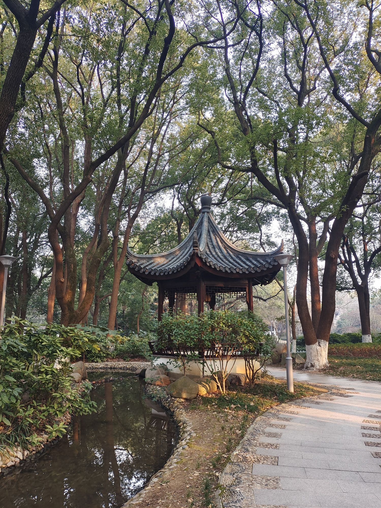 沙洲公园旅行图片 2