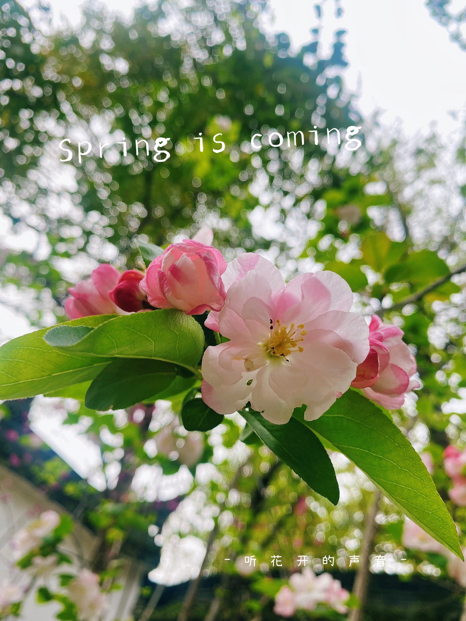 沙洲公园旅行图片 3