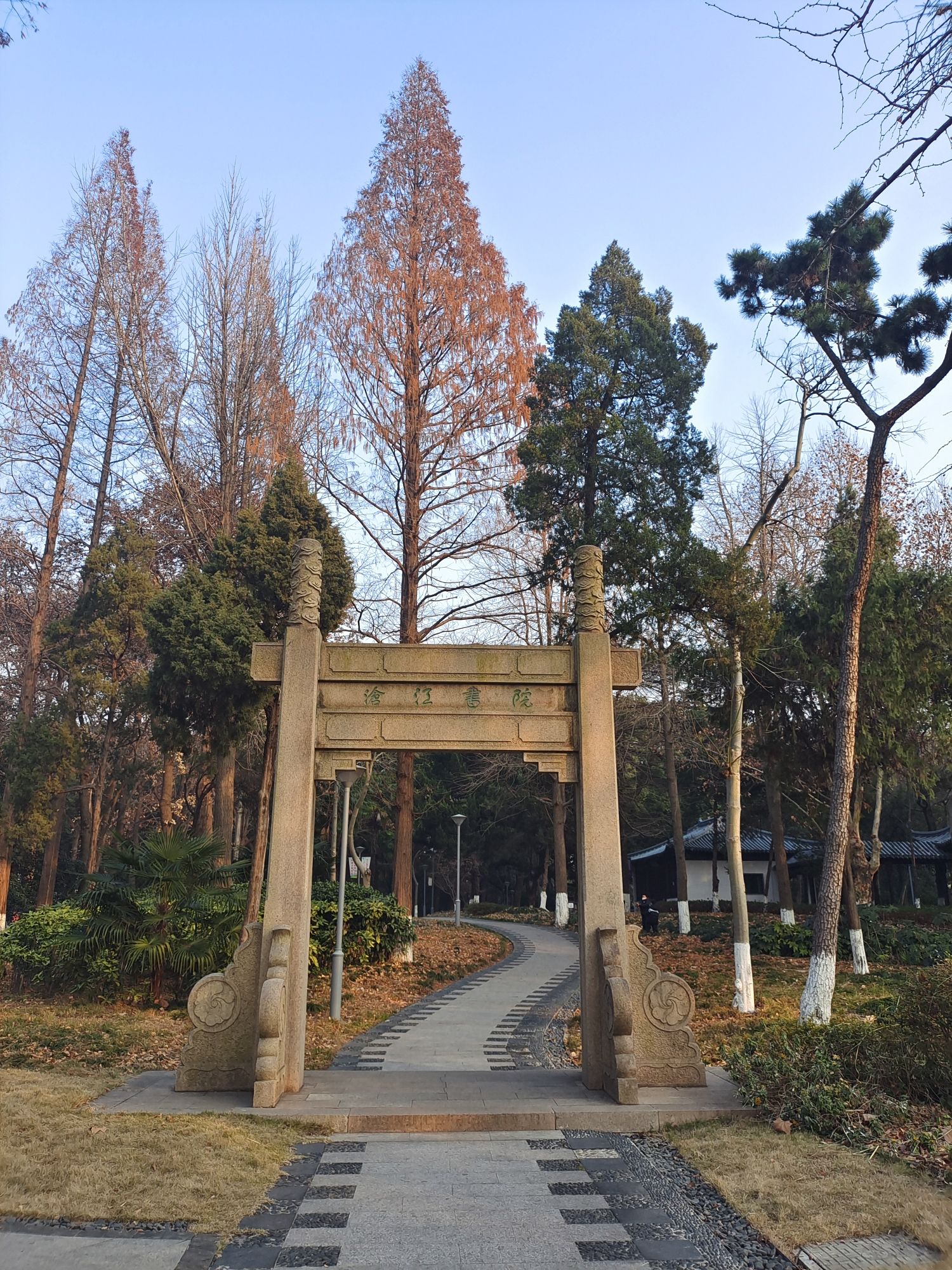 沙洲公园旅行图片 1