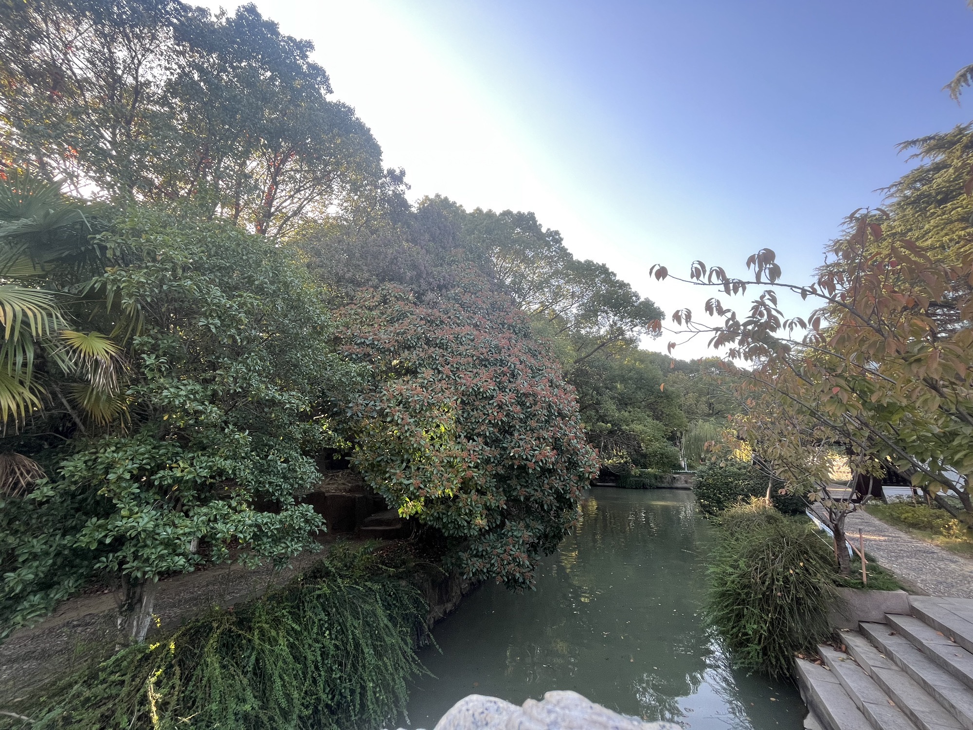 沙洲公园旅行图片 1