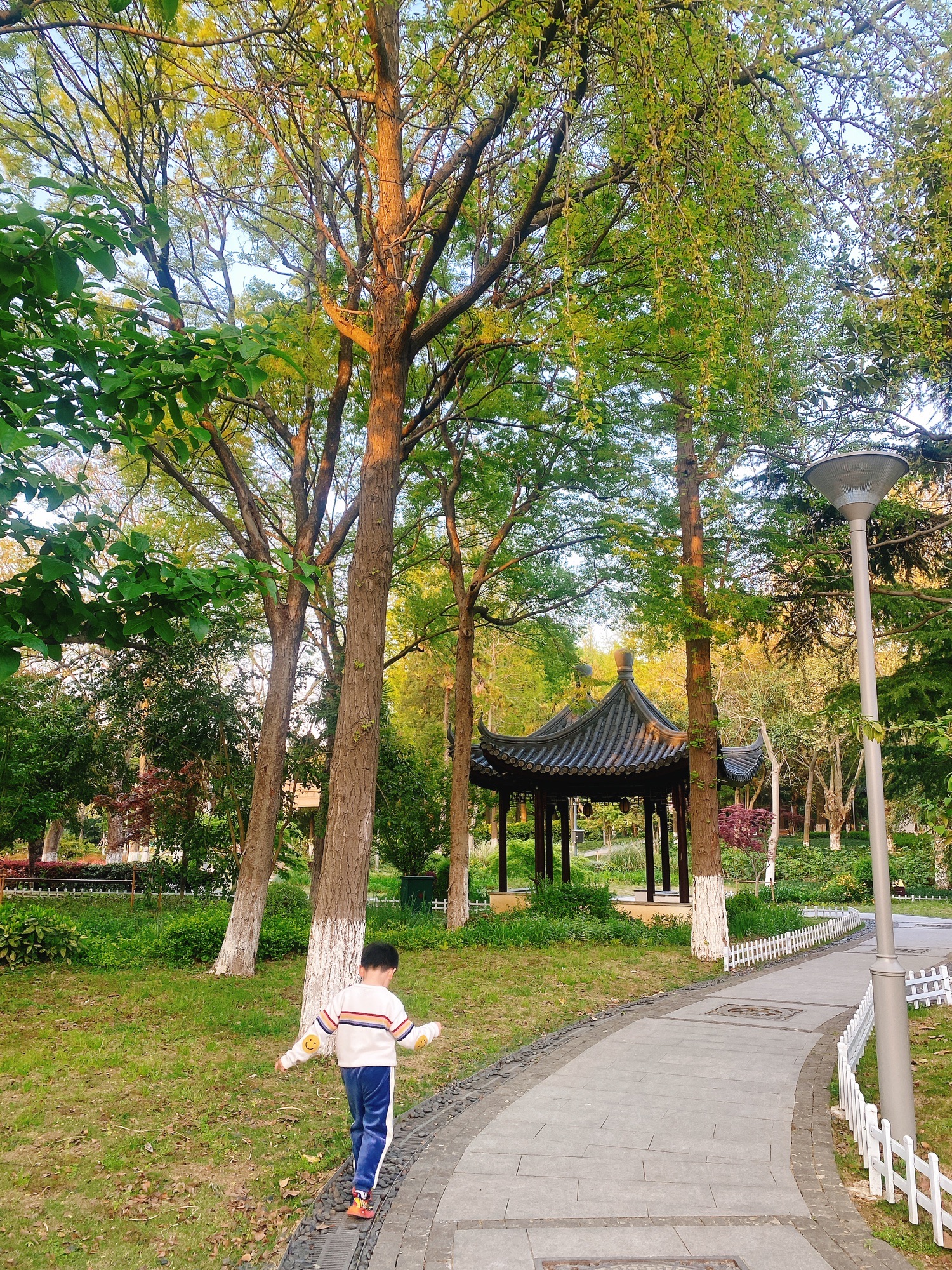 沙洲公园旅行图片 2