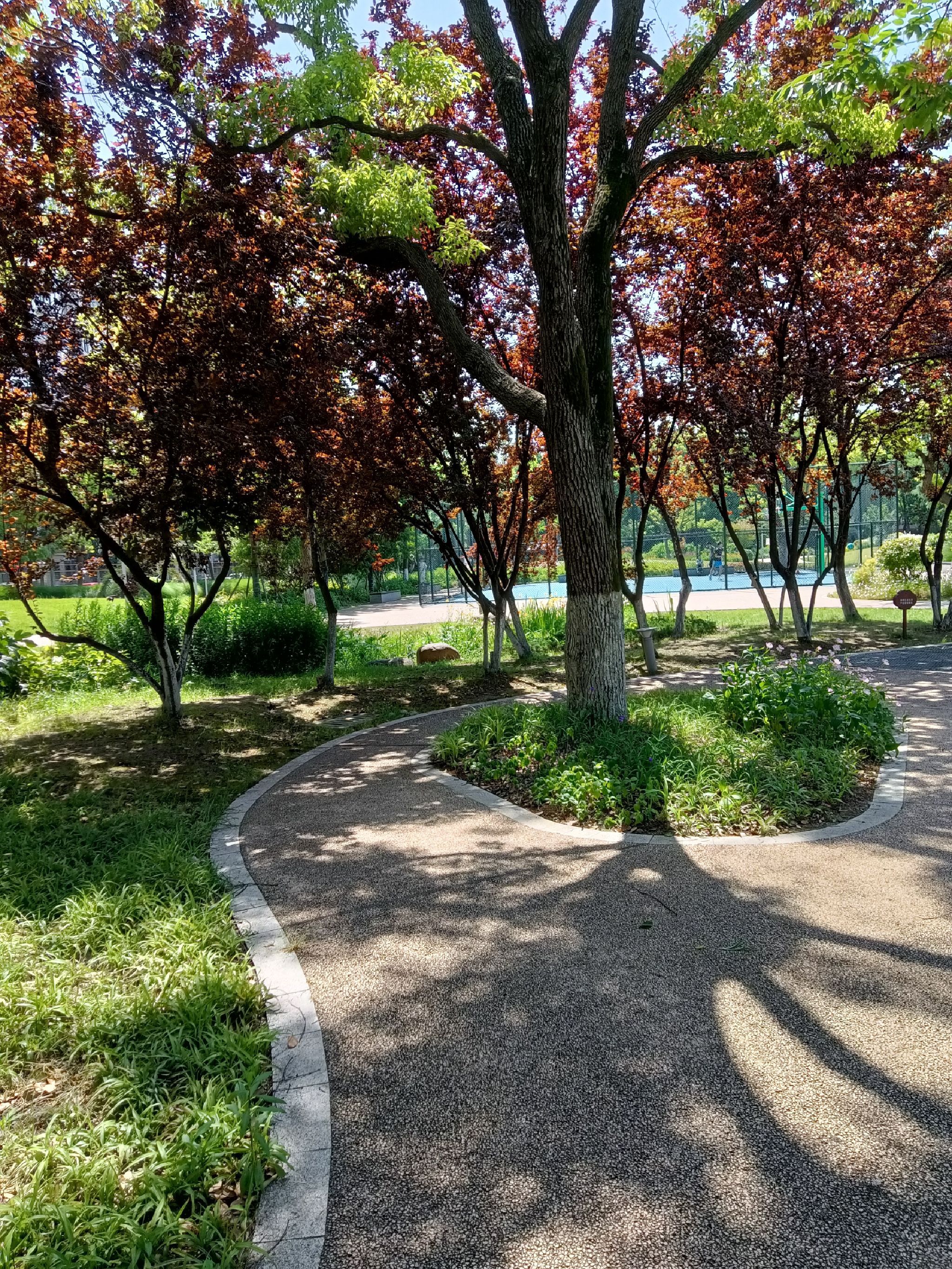 水秀公园旅行图片 3