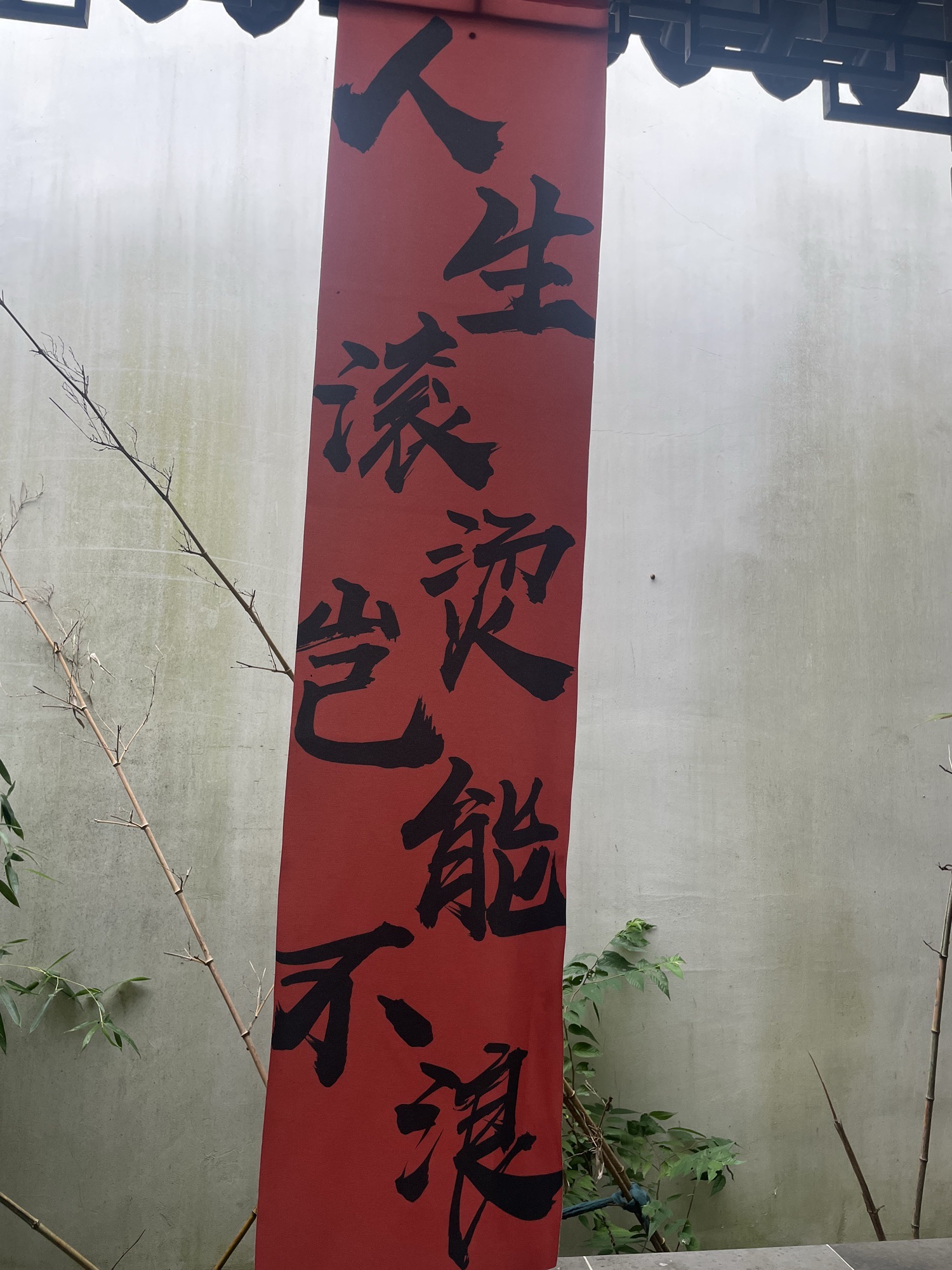 亭林园旅行图片 1