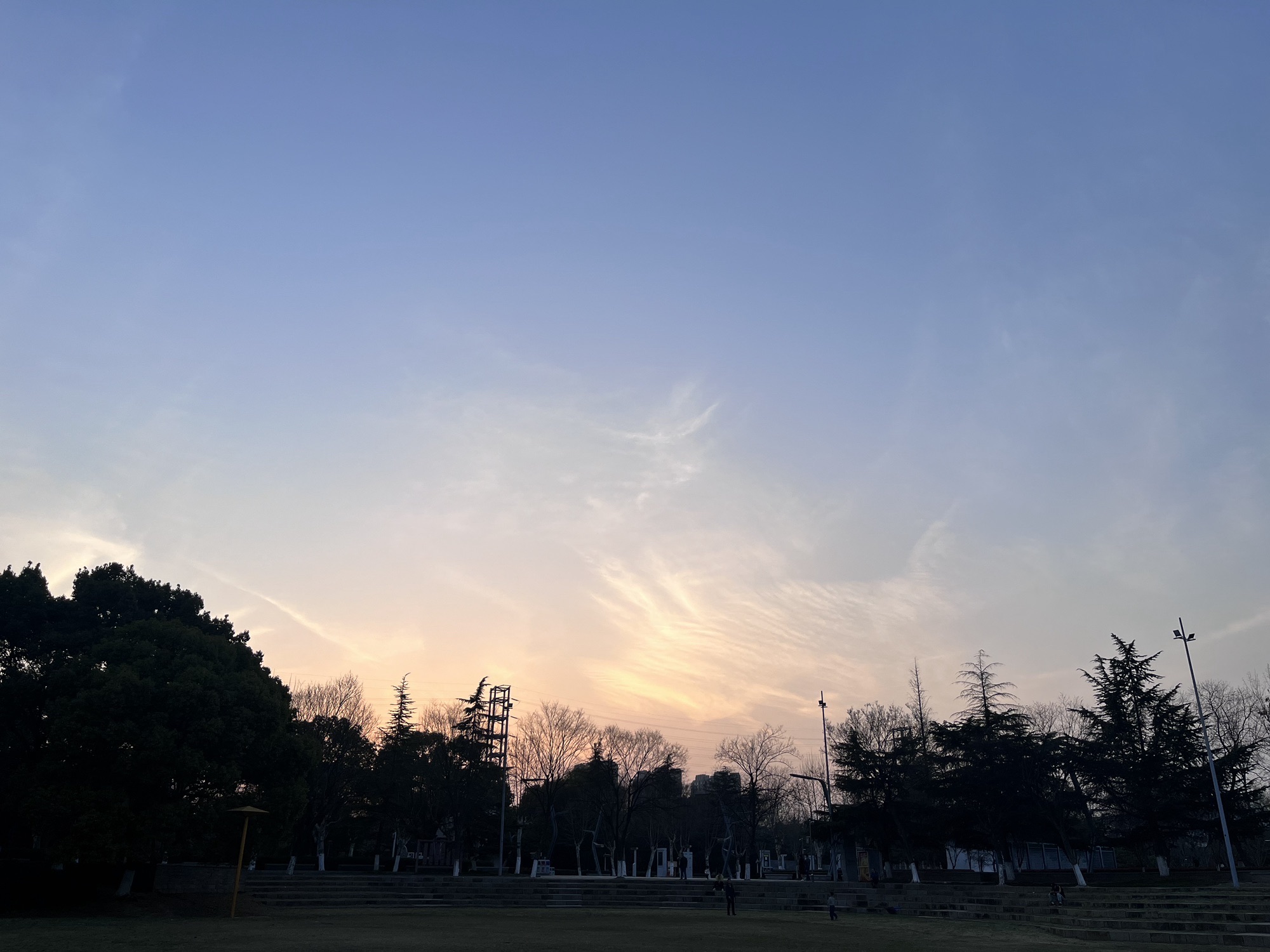 新区公园旅行图片 3