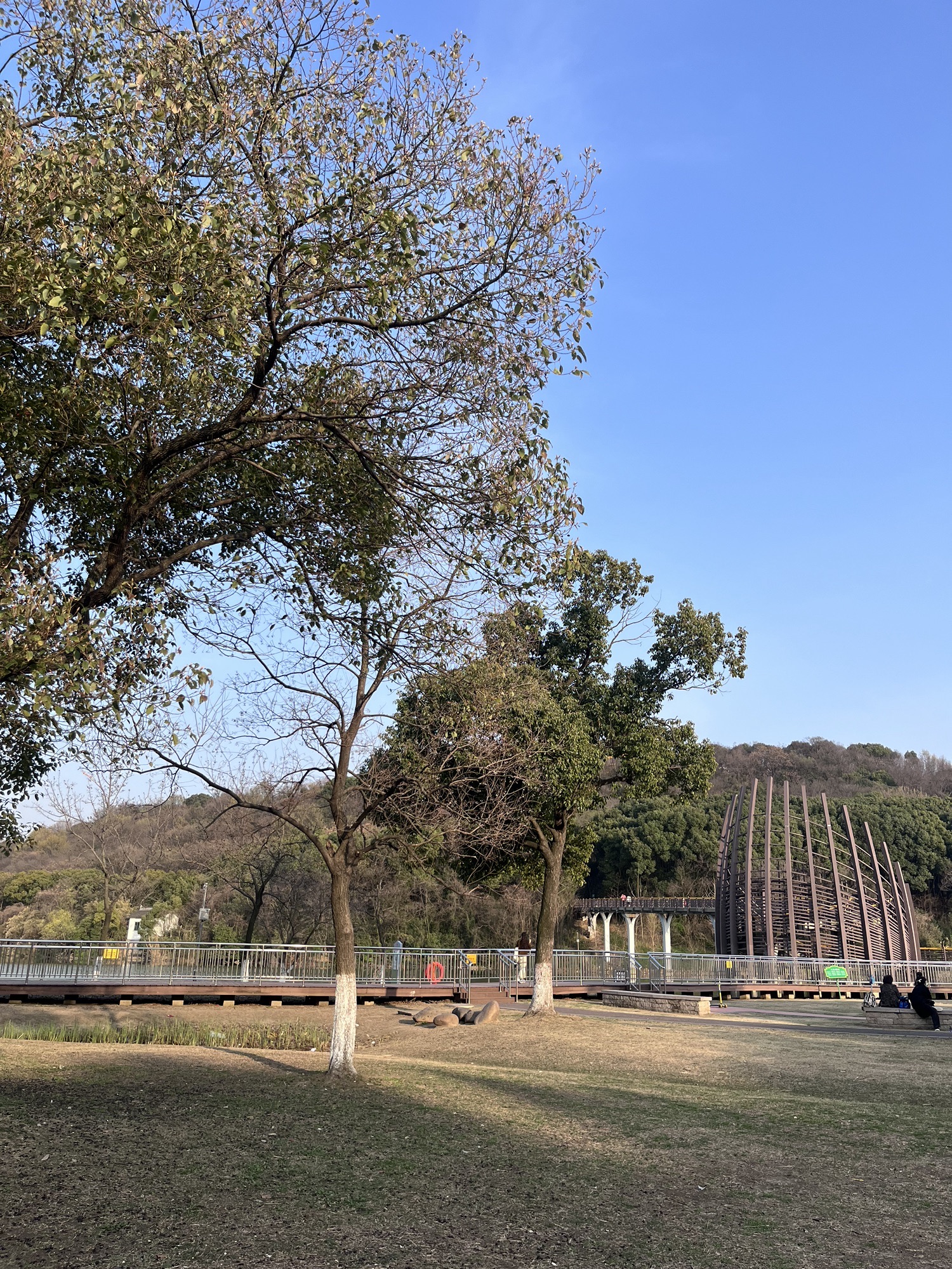 新区公园旅行图片 1