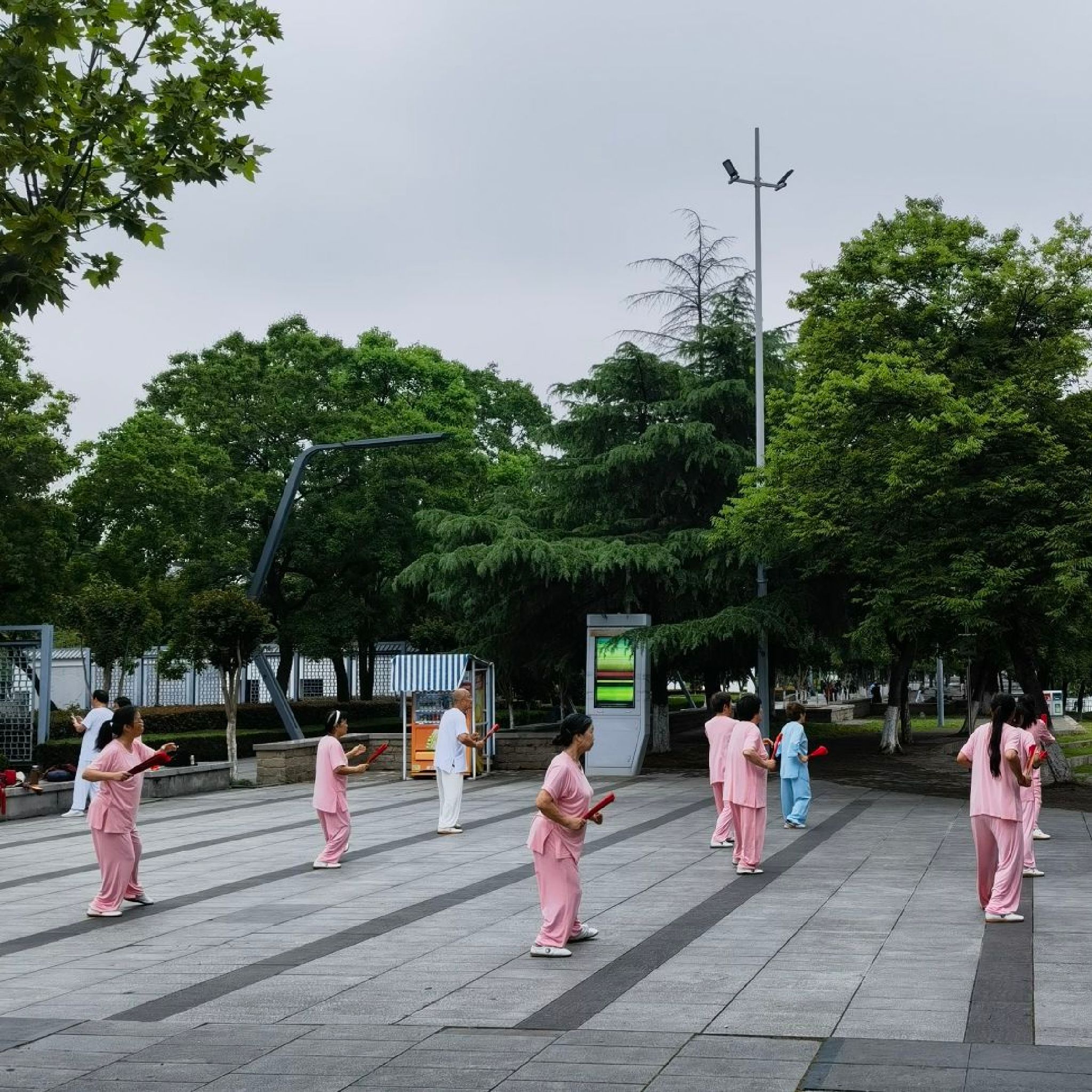 新区公园旅行图片 2