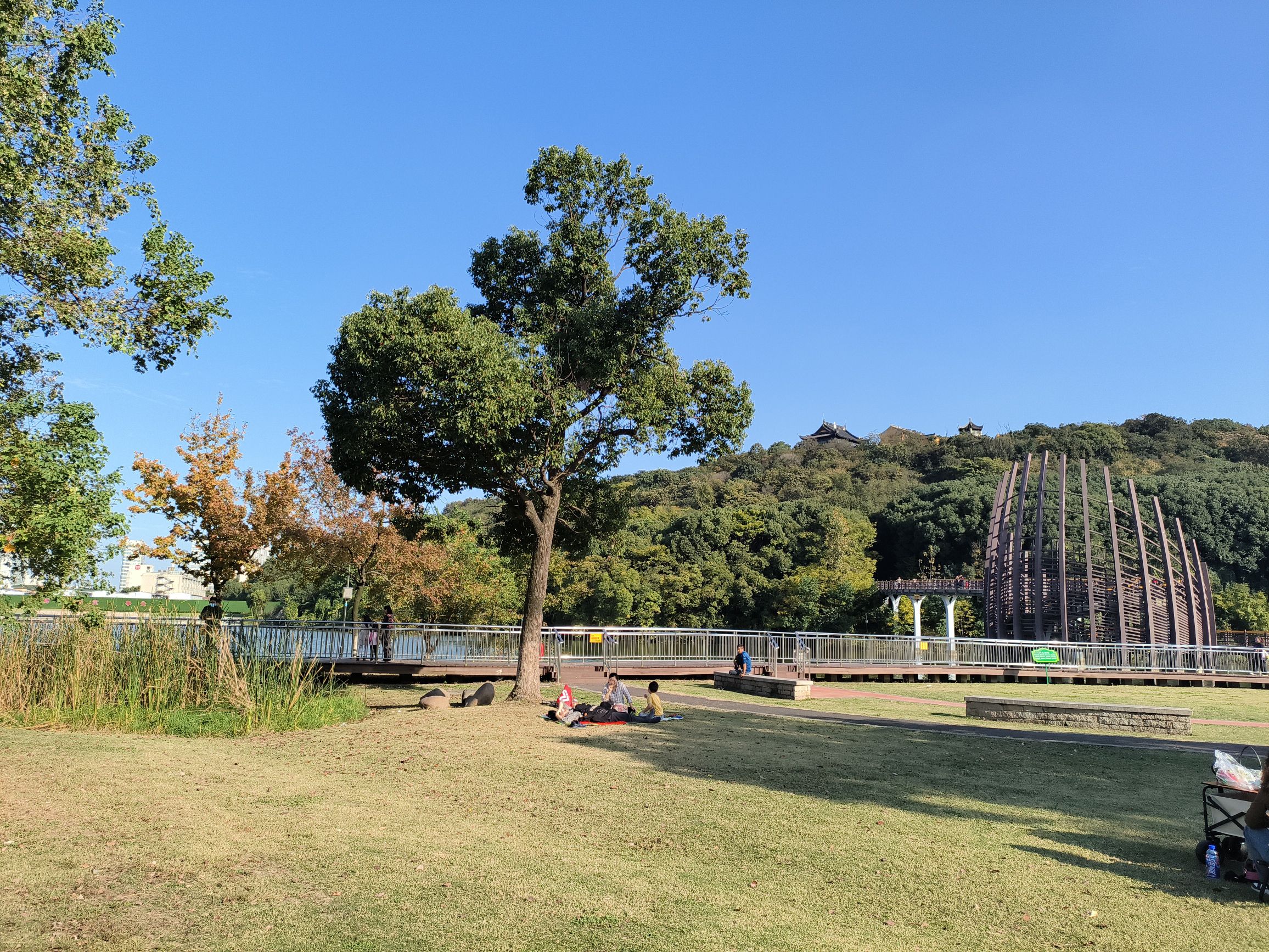 新区公园旅行图片 1