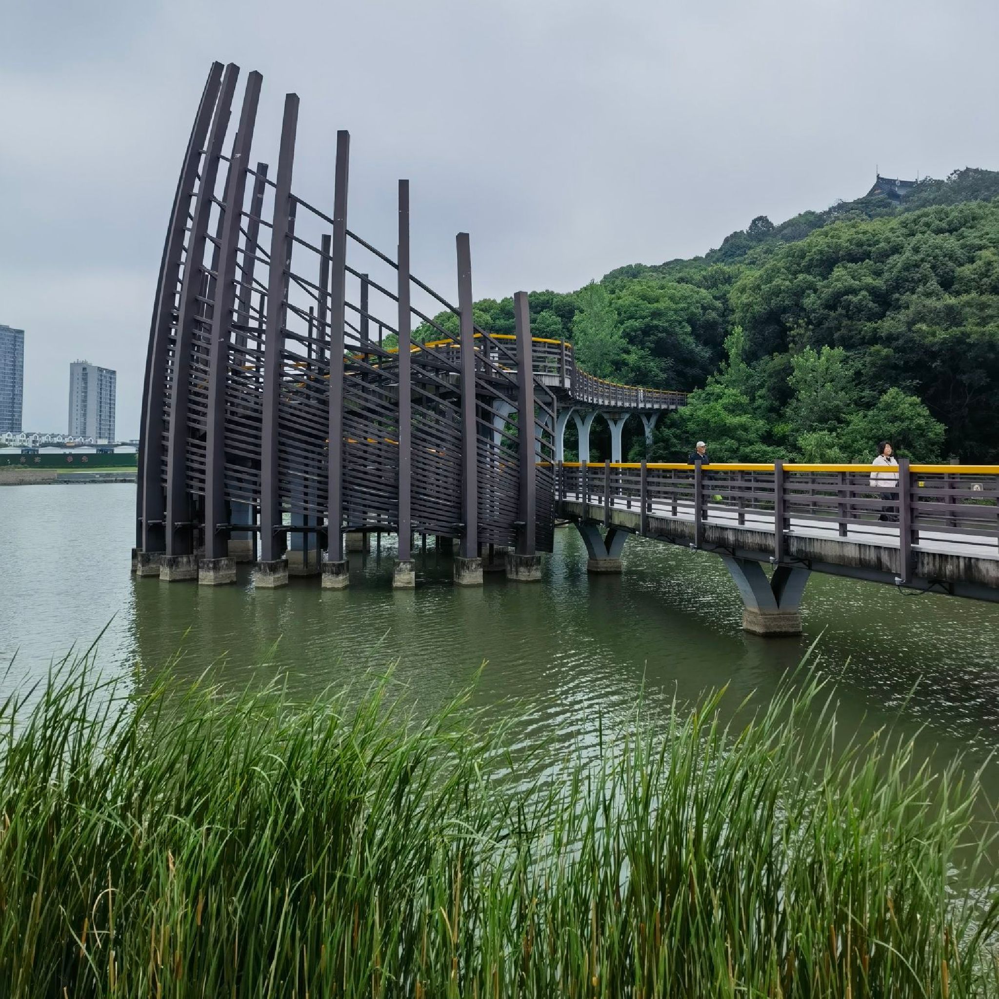 新区公园旅行图片 1