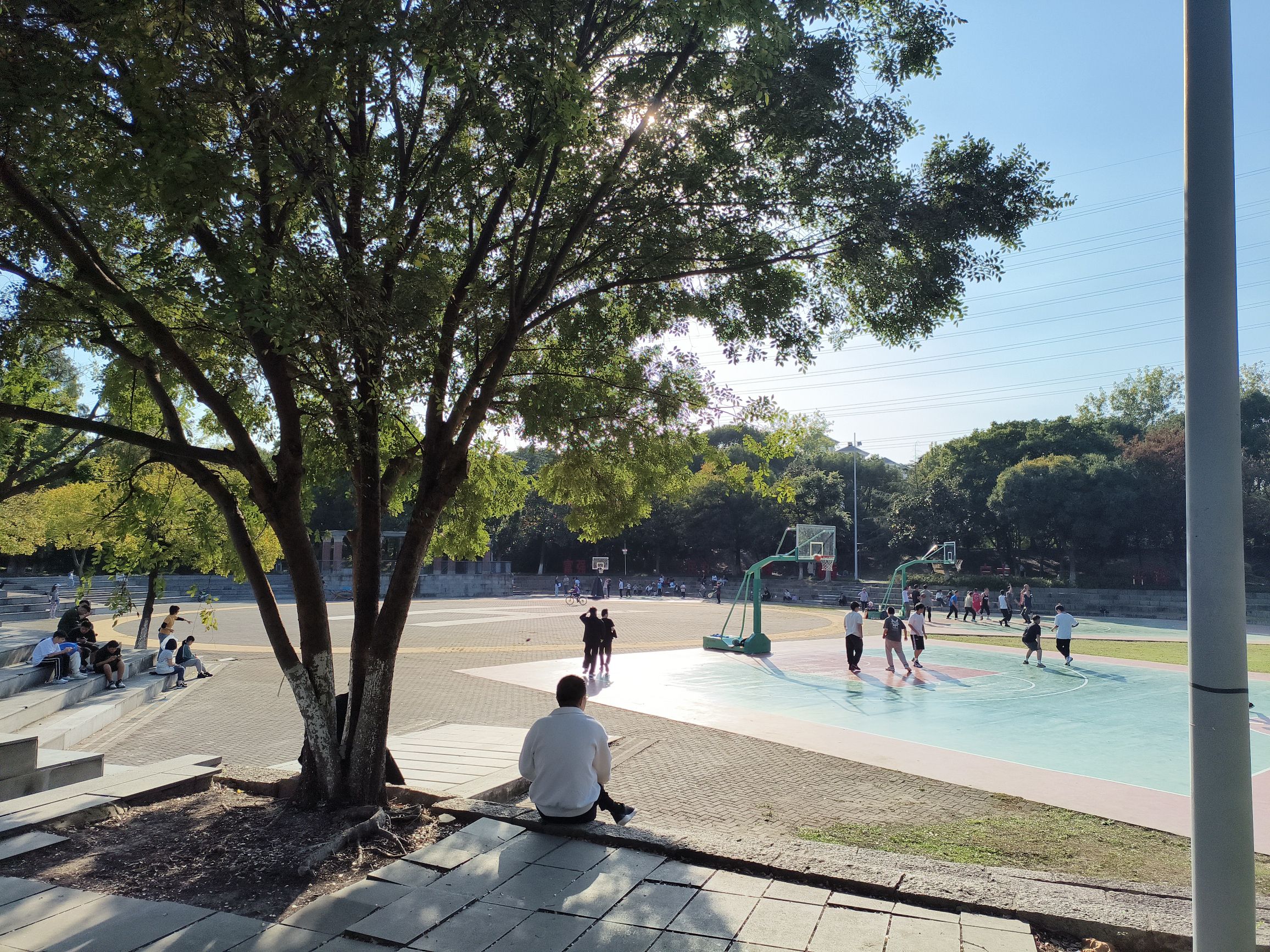 新区公园旅行图片 2