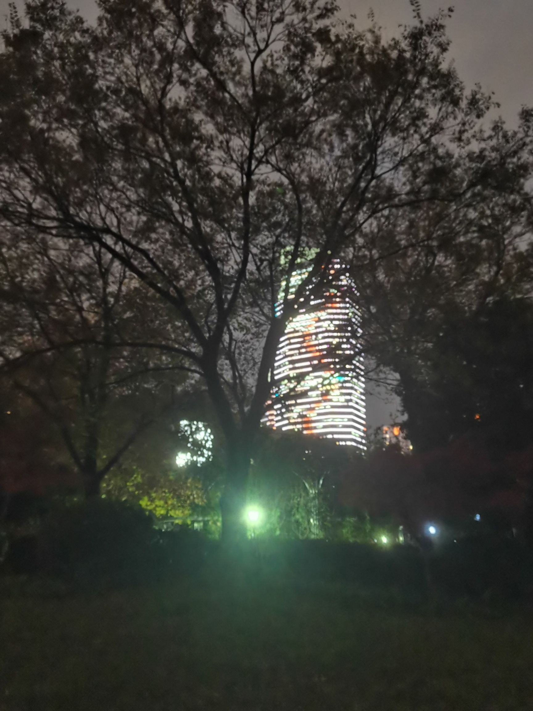 玉山公园旅行图片 2