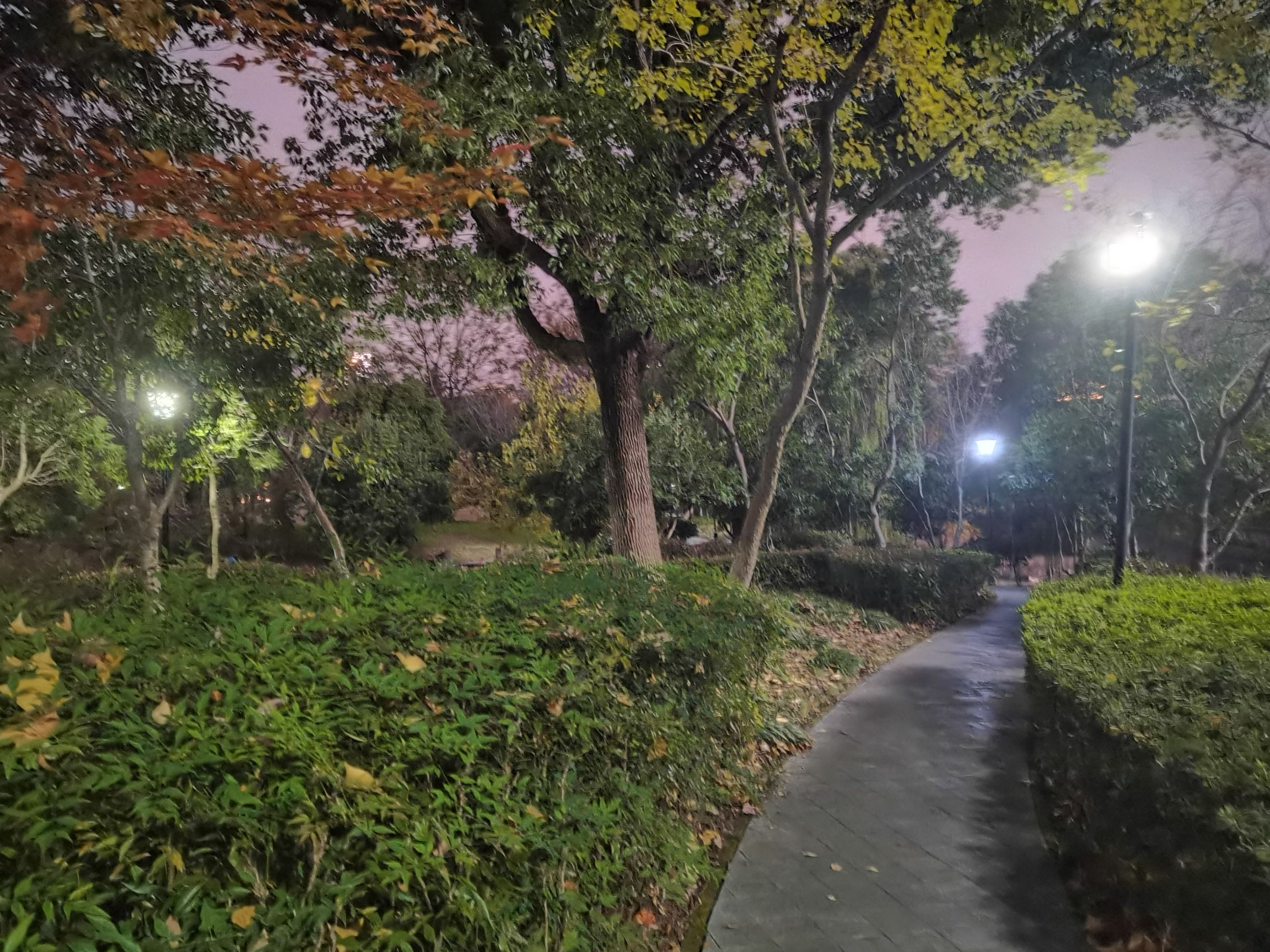 玉山公园旅行图片 1