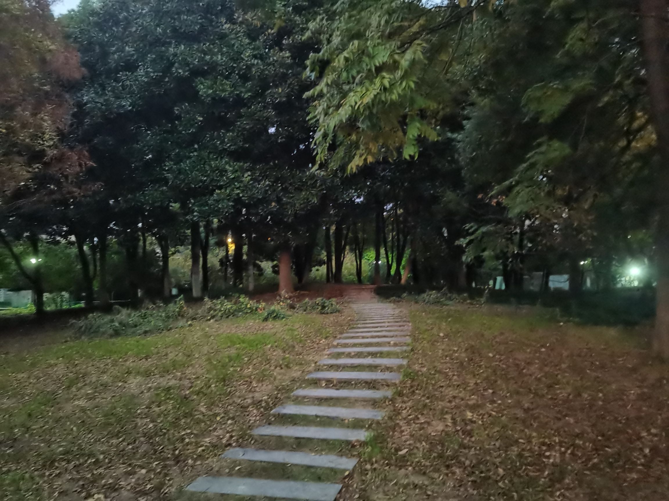 玉山公园旅行图片 3