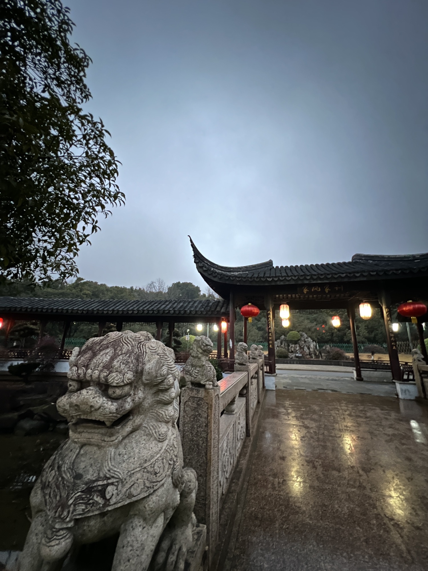 花溪公园旅行图片 1