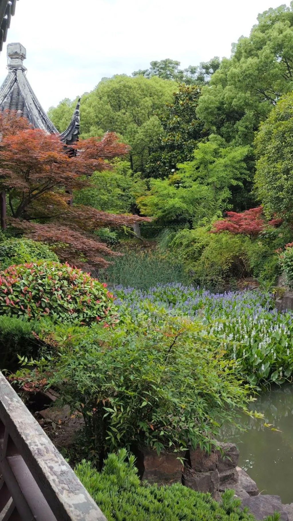花溪公园旅行图片 3