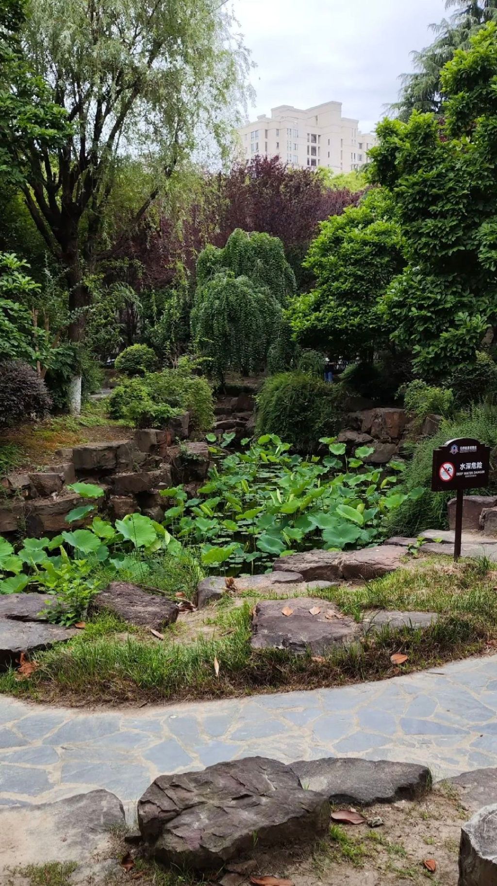 花溪公园旅行图片 2