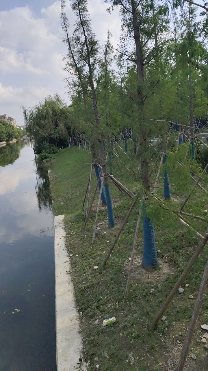 花溪公园旅行图片 3