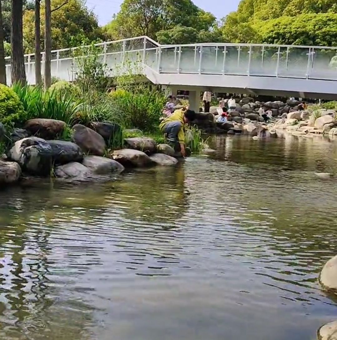 昆山城市公园旅行图片 3