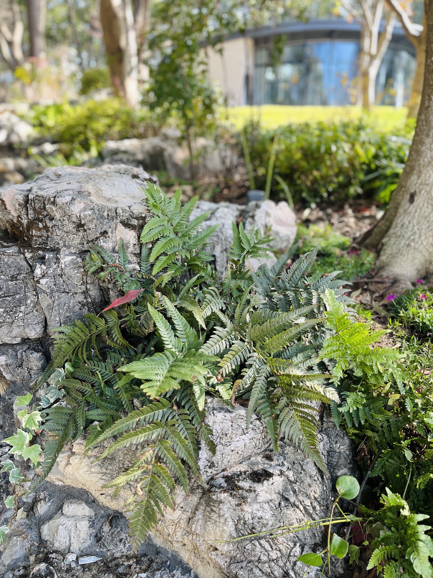 昆山城市公园旅行图片 1
