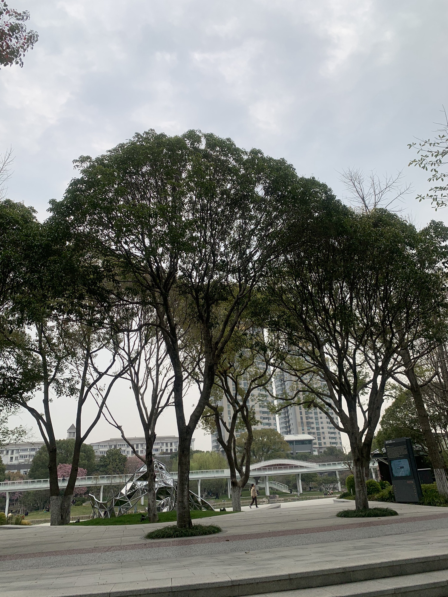 昆山城市公园旅行图片 3
