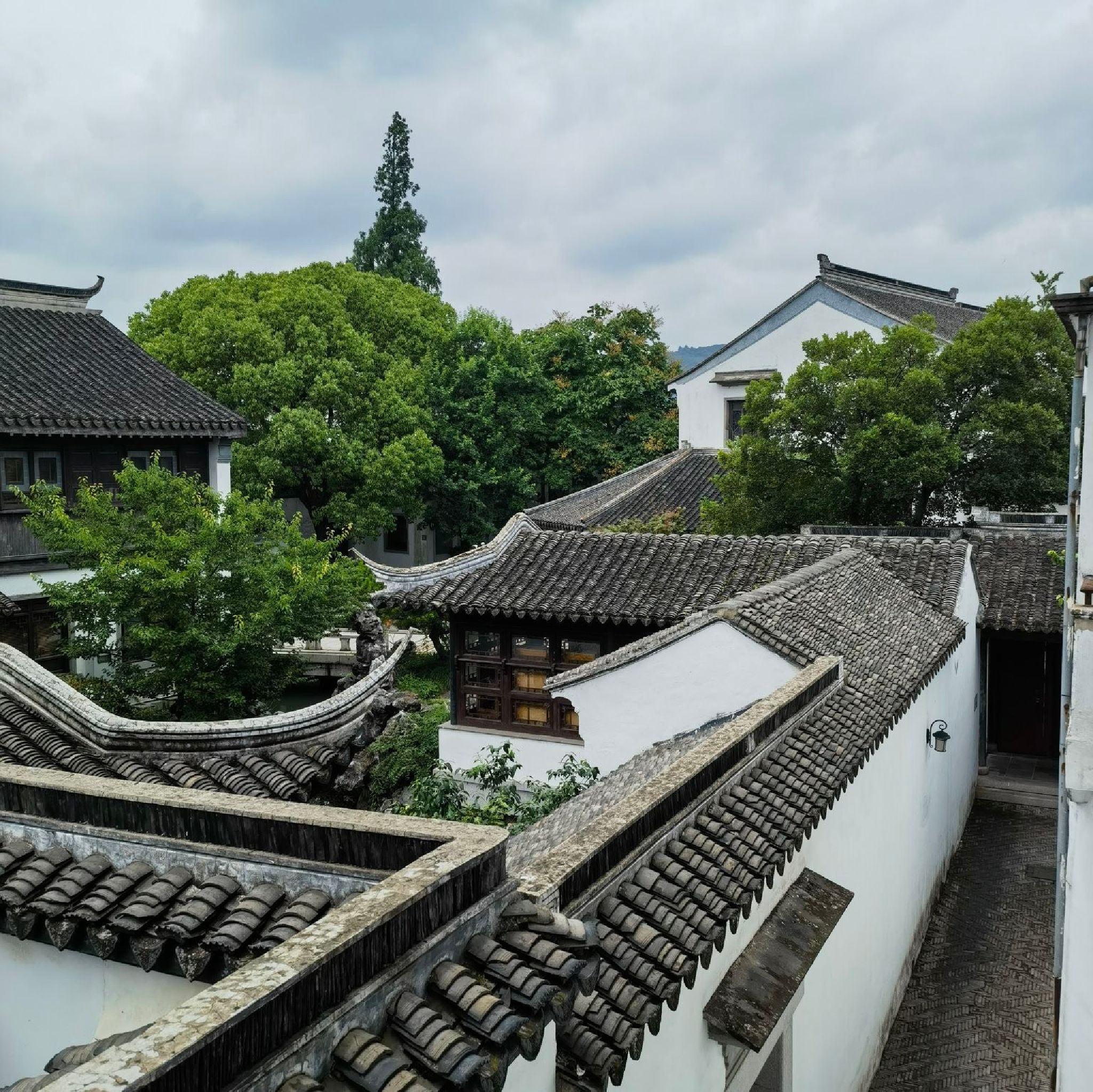 雕花楼旅行图片 2