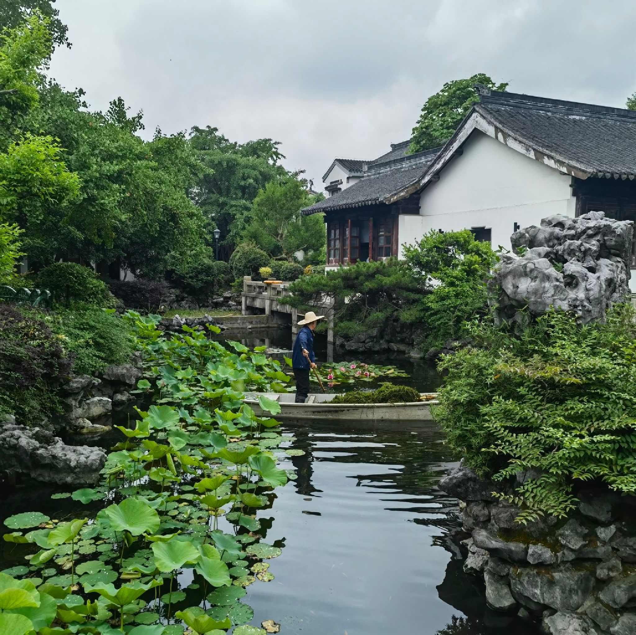 雕花楼旅行图片 1