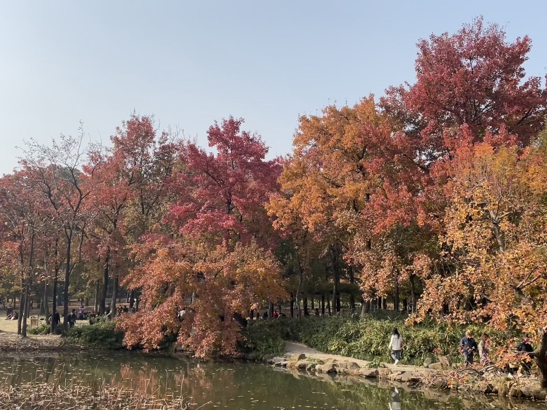 天平山风景名胜区旅行图片 1