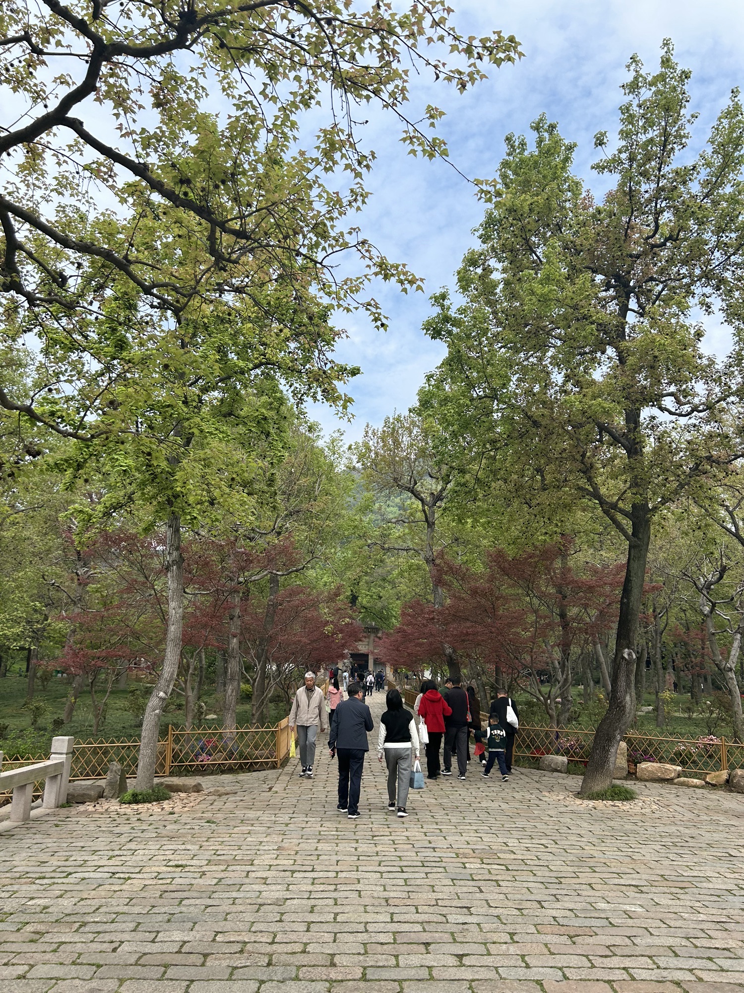 天平山风景名胜区旅行图片 2