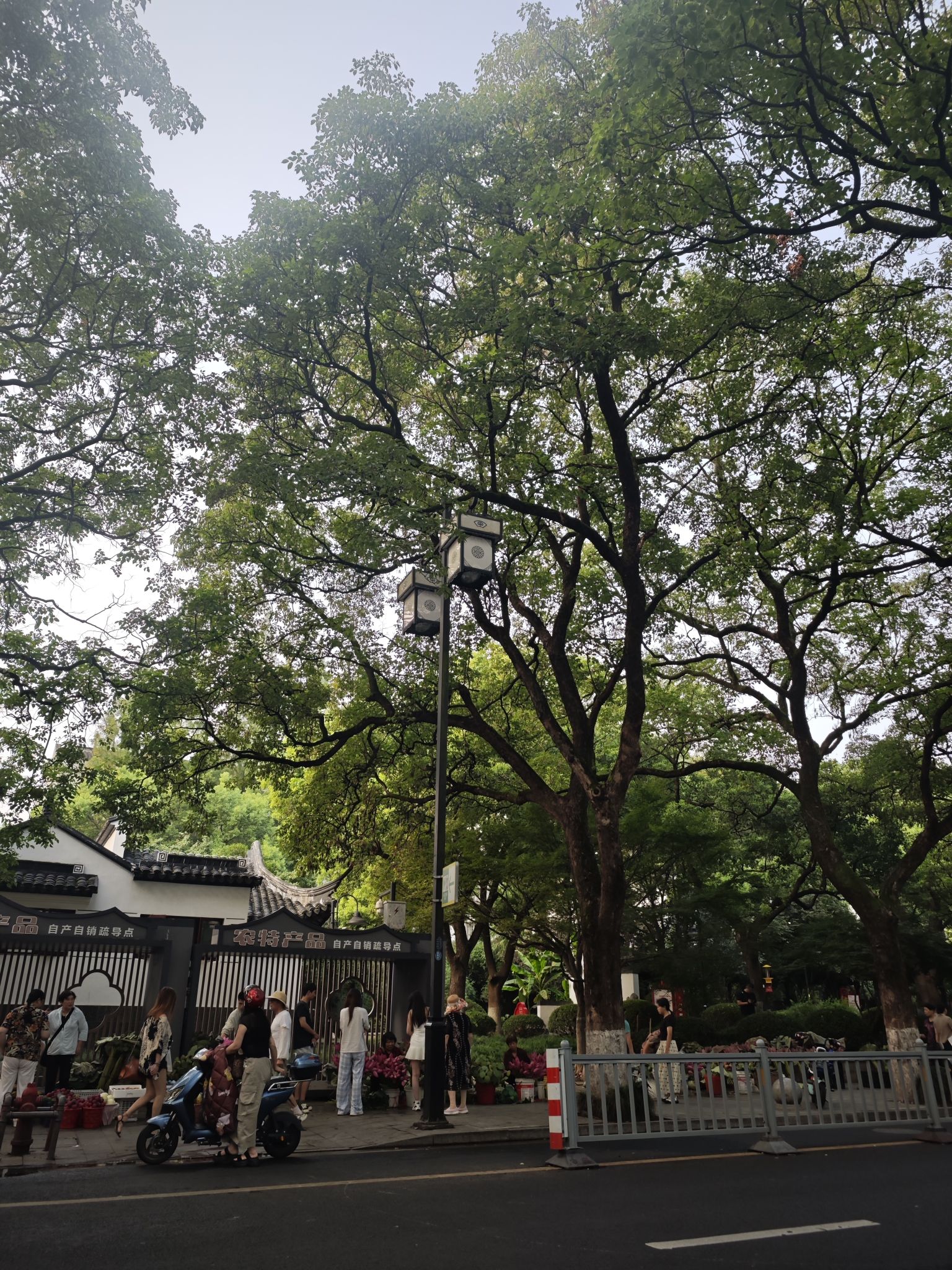 白塔公园旅行图片 3
