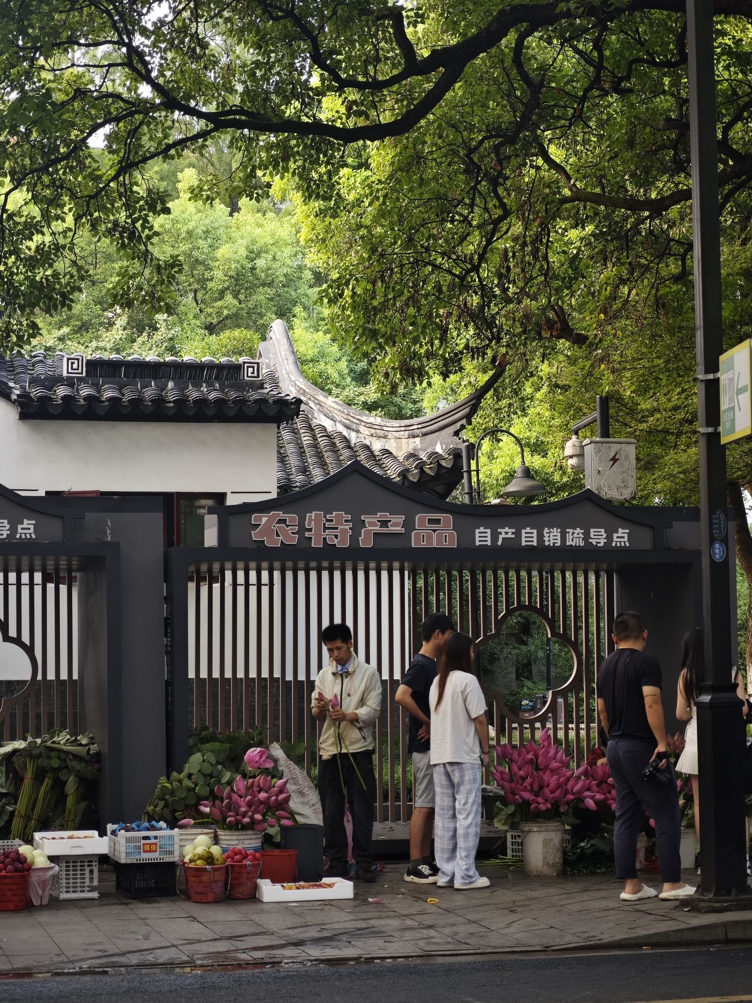 白塔公园旅行图片 2